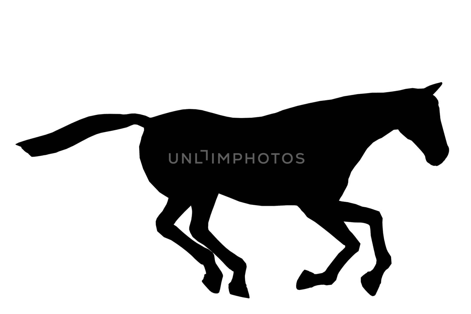 Black horse art illustration silhouette on a white background