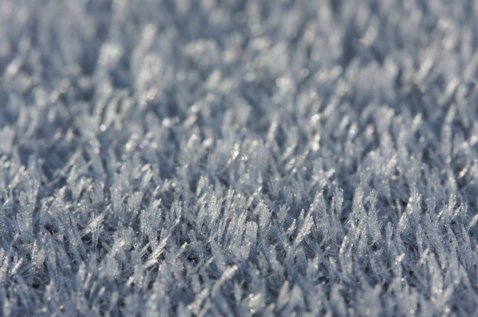 Macro Image of Morning Frost Crystals. Narrow depth of field.