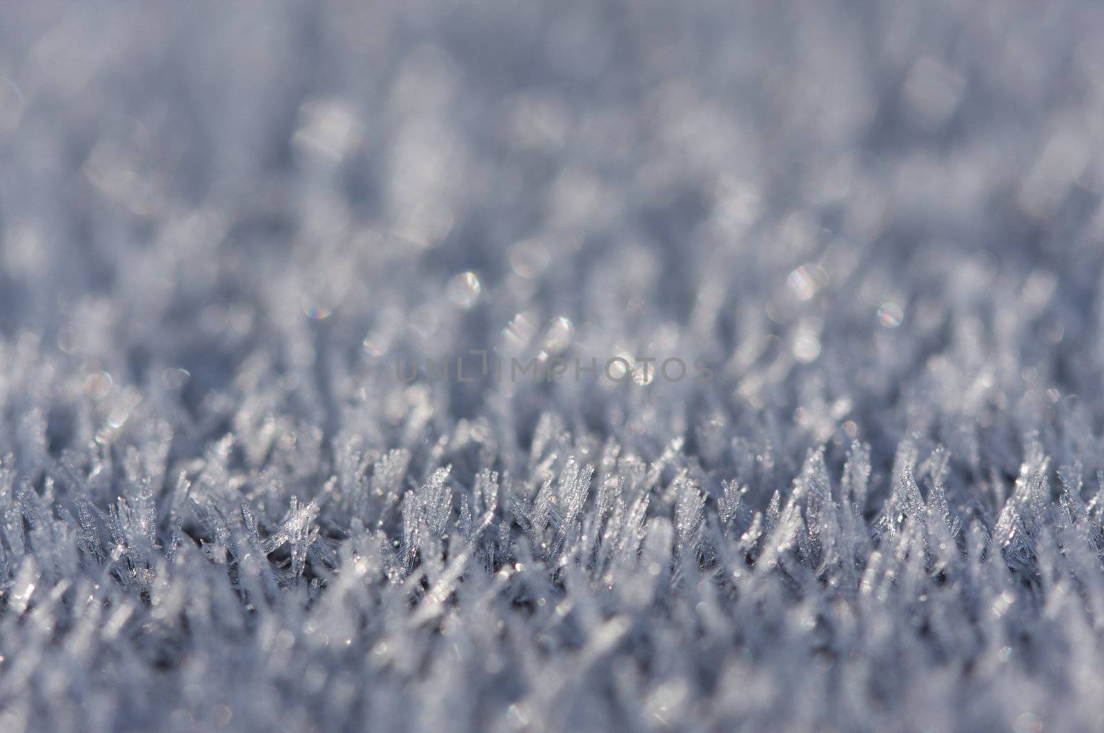 Macro Image of Morning Frost Crystals. Very narrow depth of field.