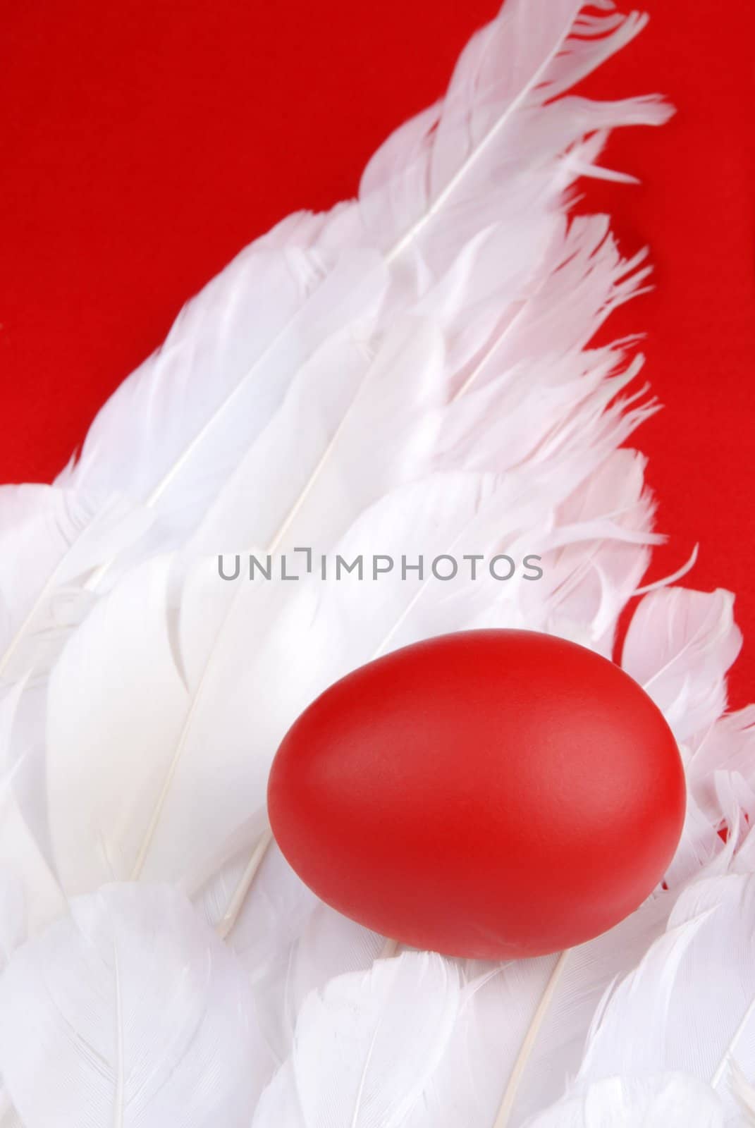 Egg on a angels wings in easter decorations