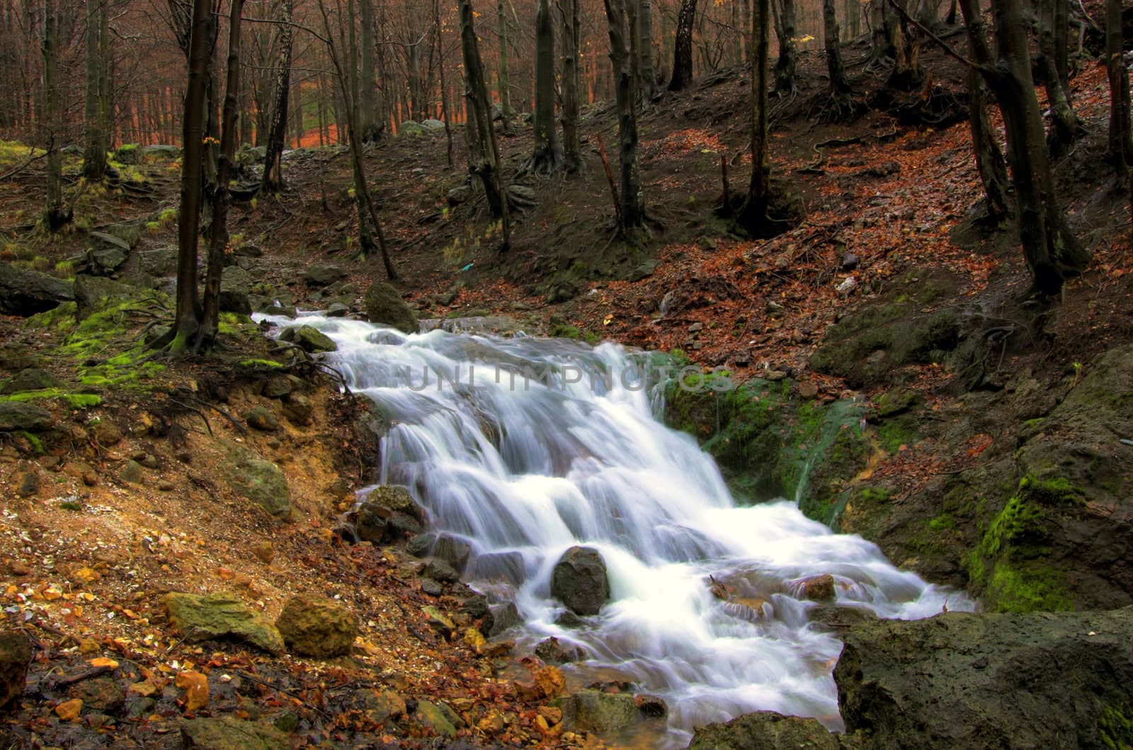 Karpatian mountain stream in spring