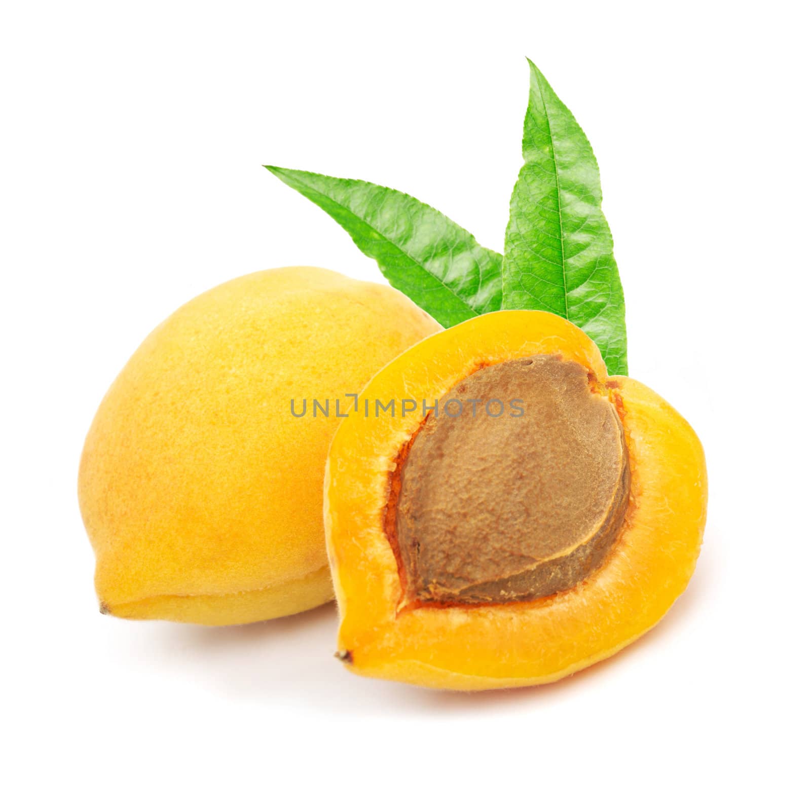 Apricots with leafs. The file includes a clipping path.  Professionally retouched high quality image. 