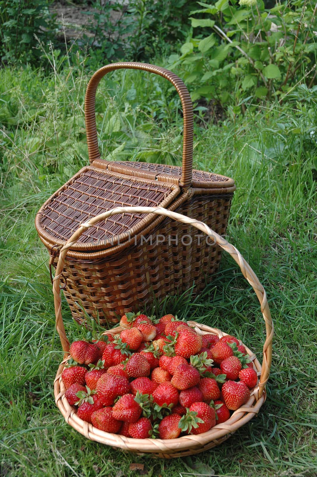 Wicker baskets filled with strawberries on green grass