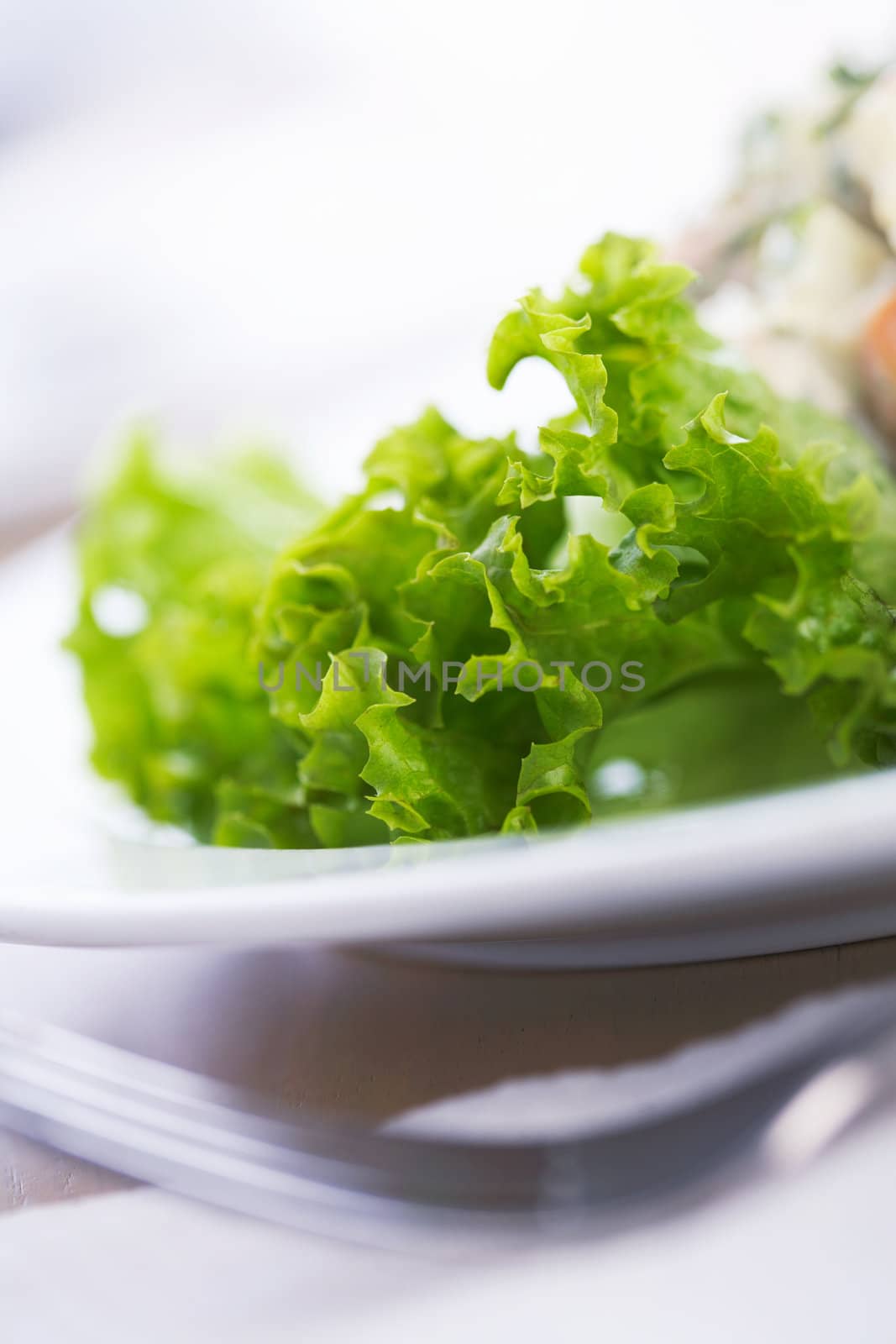 Closeup of green salad on the plate.