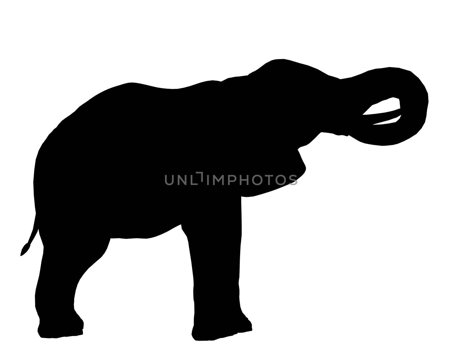 Black elephant art illustration silhouette on a white background