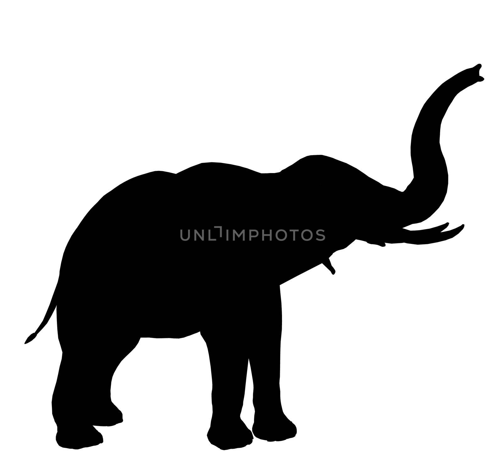 Black elephant art illustration silhouette on a white background