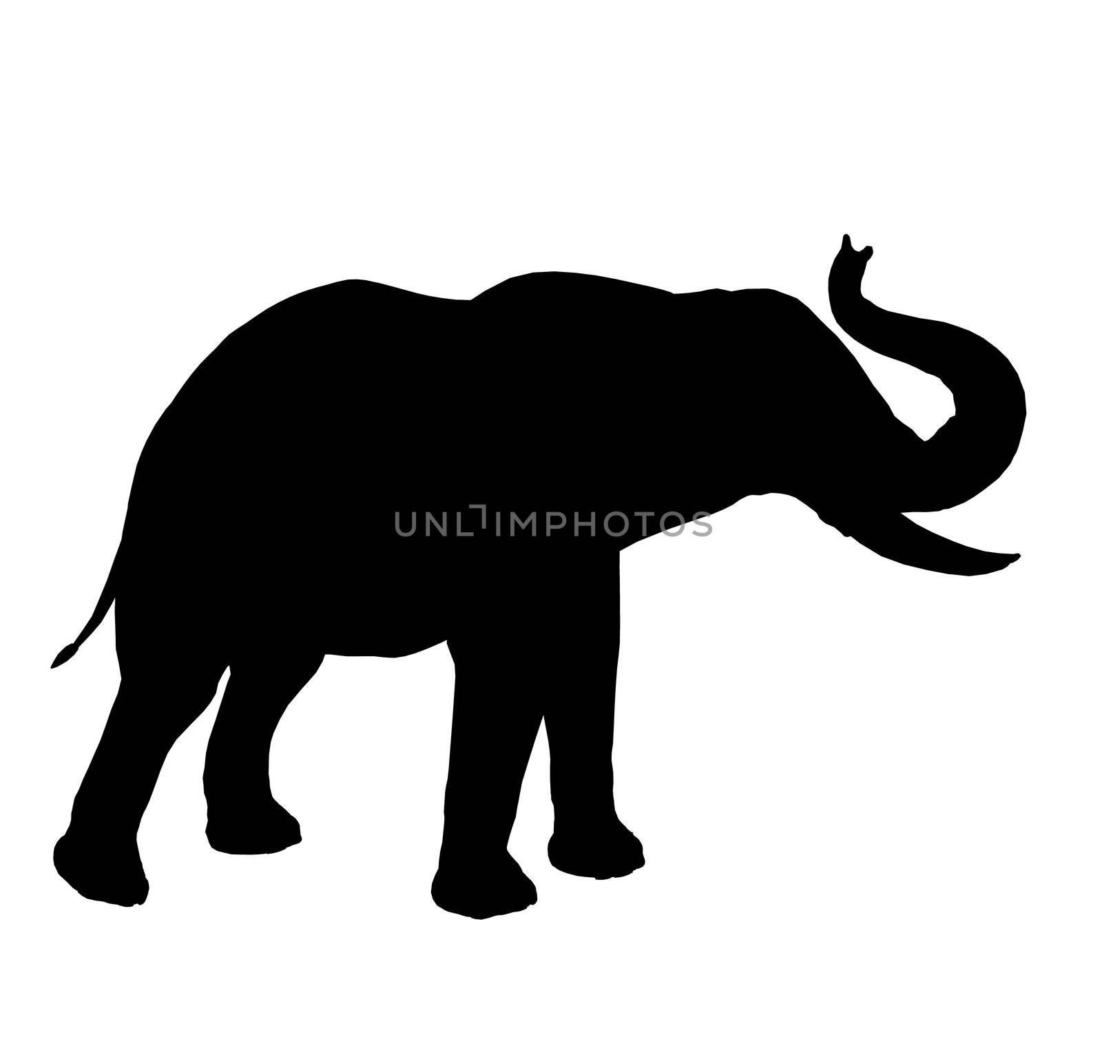 Black elephant art illustration silhouette on a white background