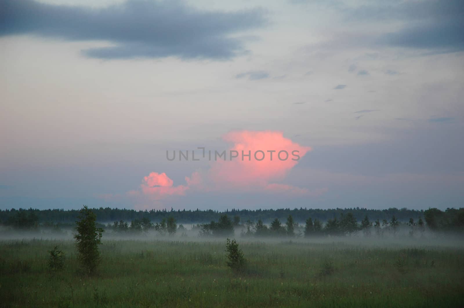 Pink clouds. by OlgaDrozd