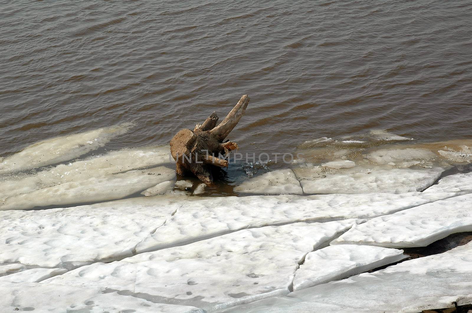 Ice drift on  river Volga.