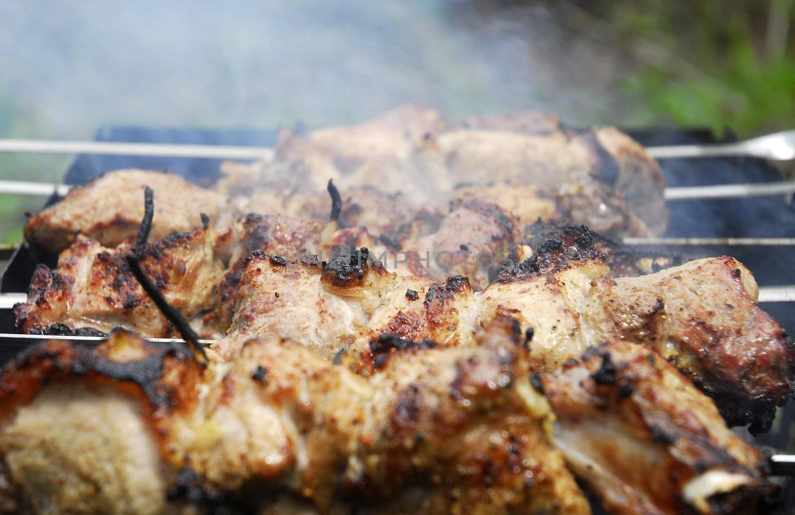 pork kebab with onion on the BBQ
