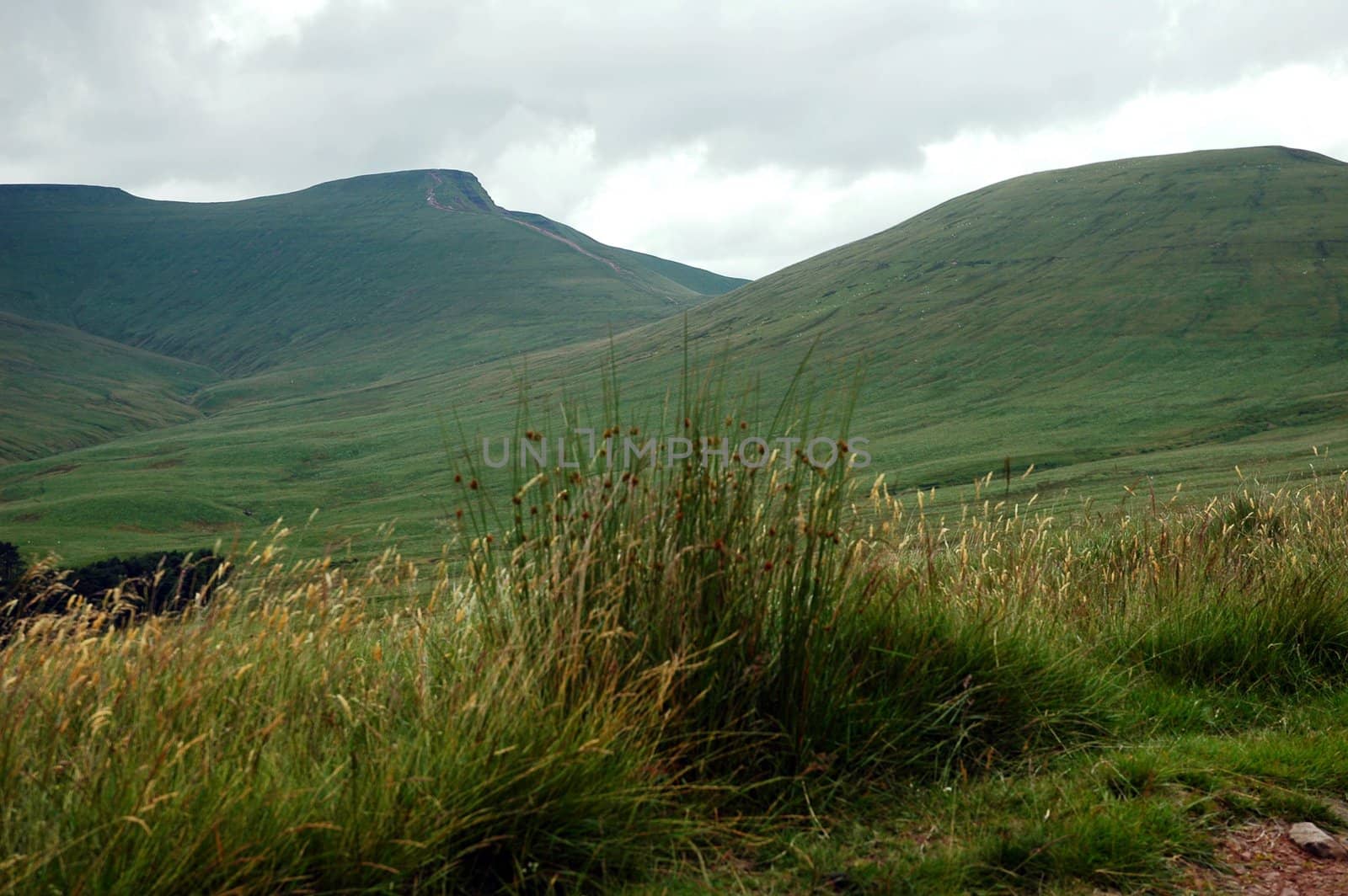 mountain of Breacon Beakon park in Wales