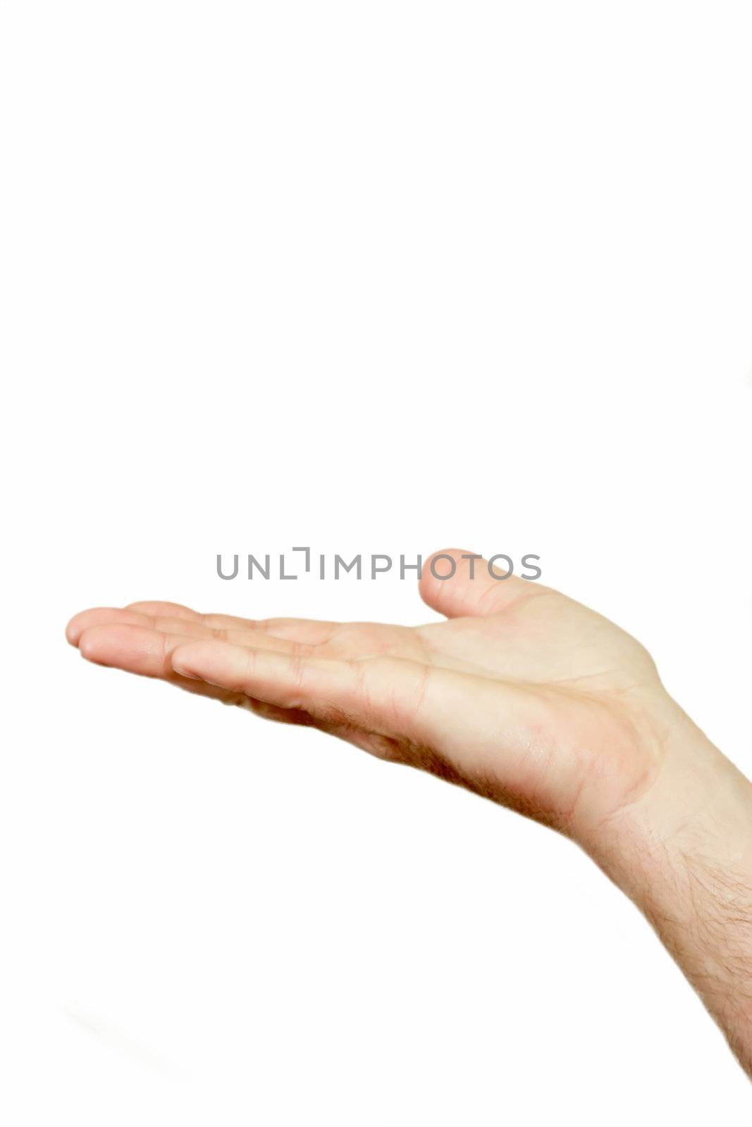 The mens hand located on a white background
