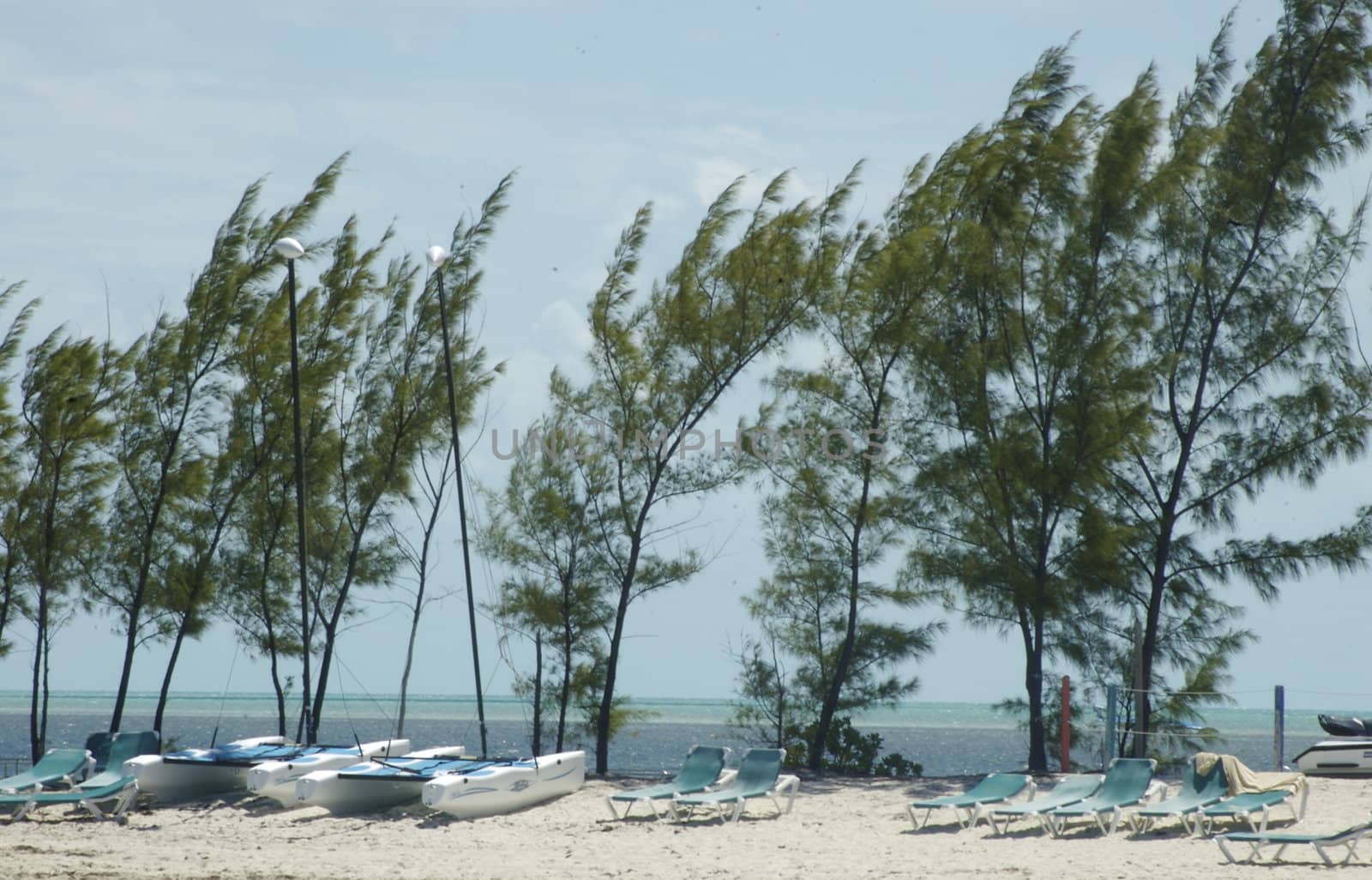 Kayaks lined up on a Bahamian white sandy beach with swaying trees against a blue sky