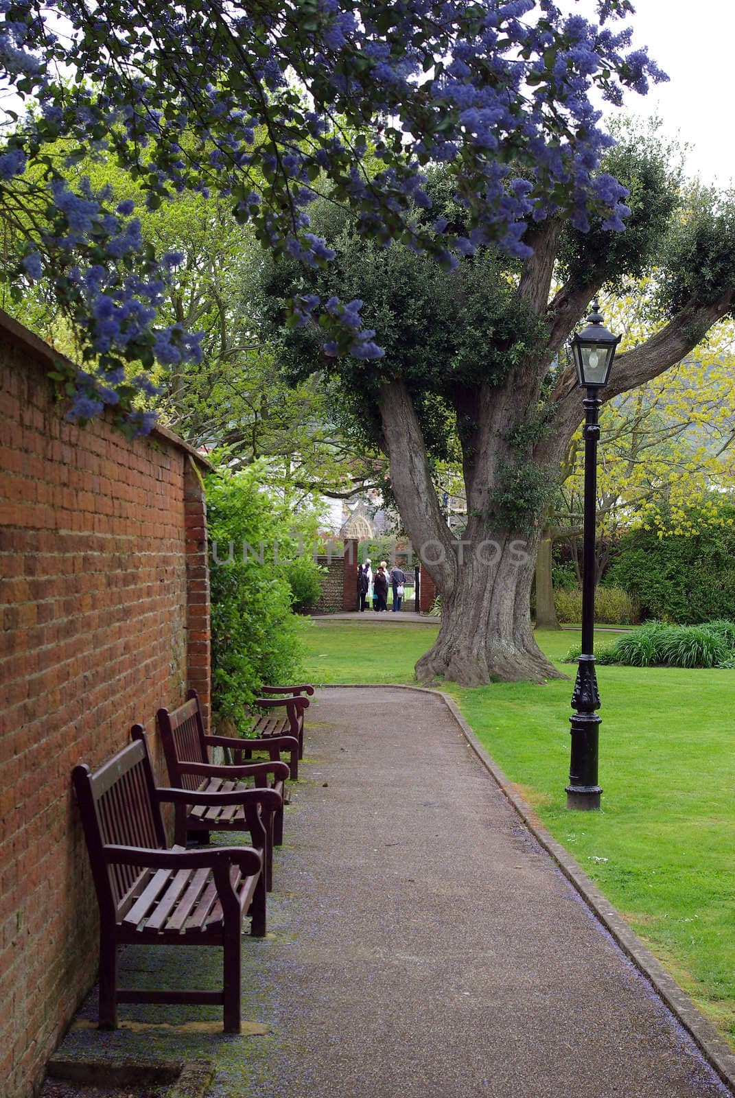 Photo of a bench in a lovely quiet park