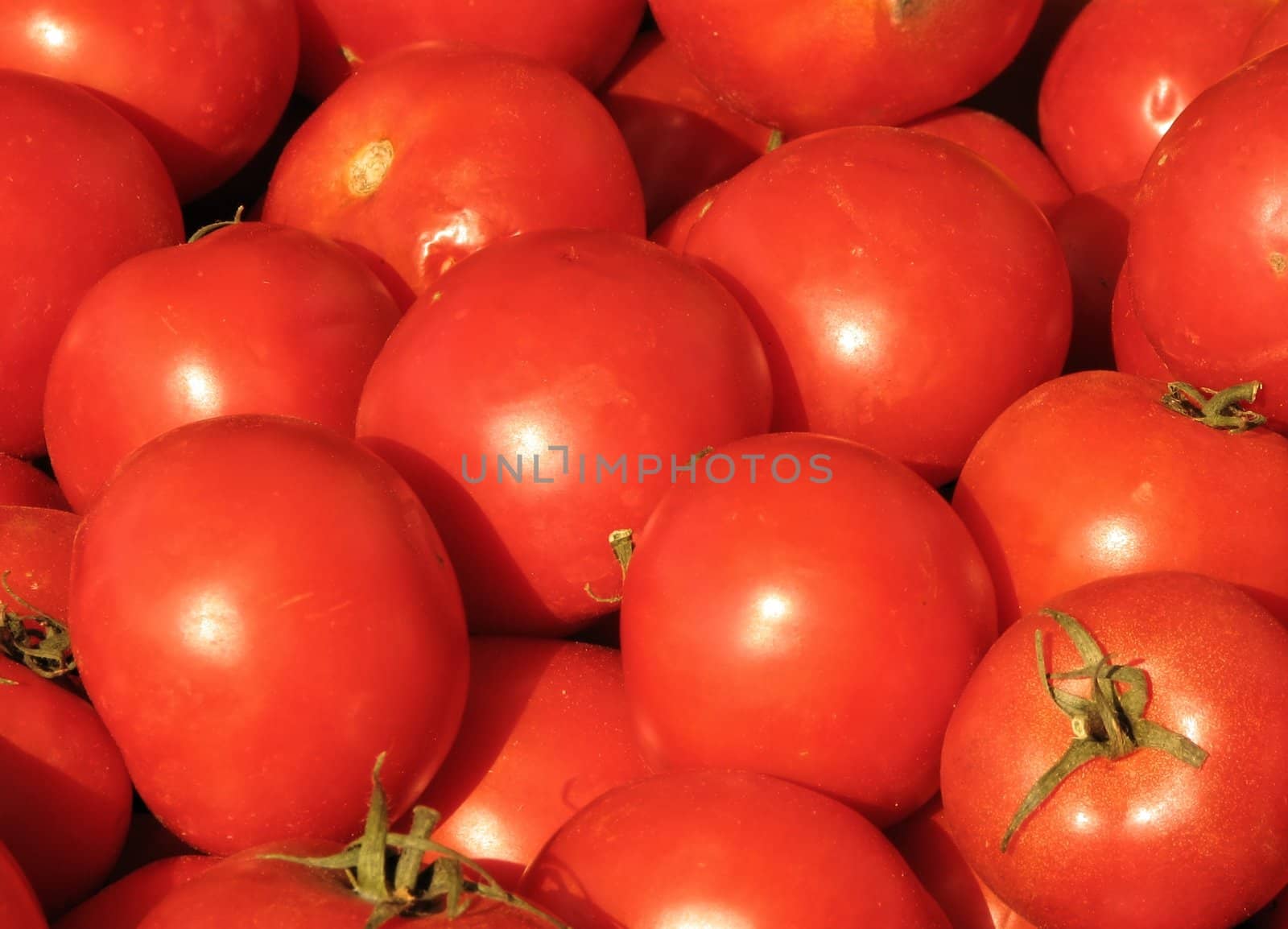 fresh Tomatoes by FotoFrank