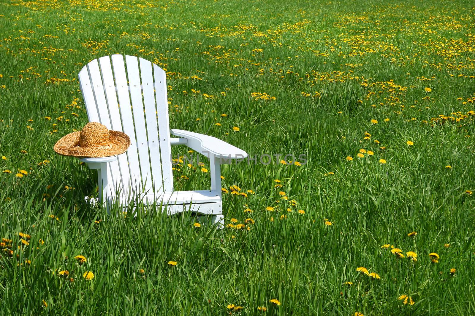 White chair with straw hat in a summer field of flowers