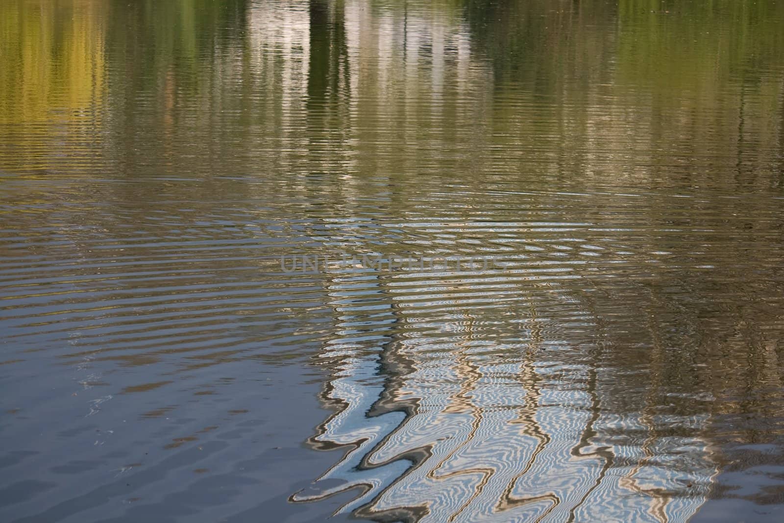 Reflection Blurred by Ripples