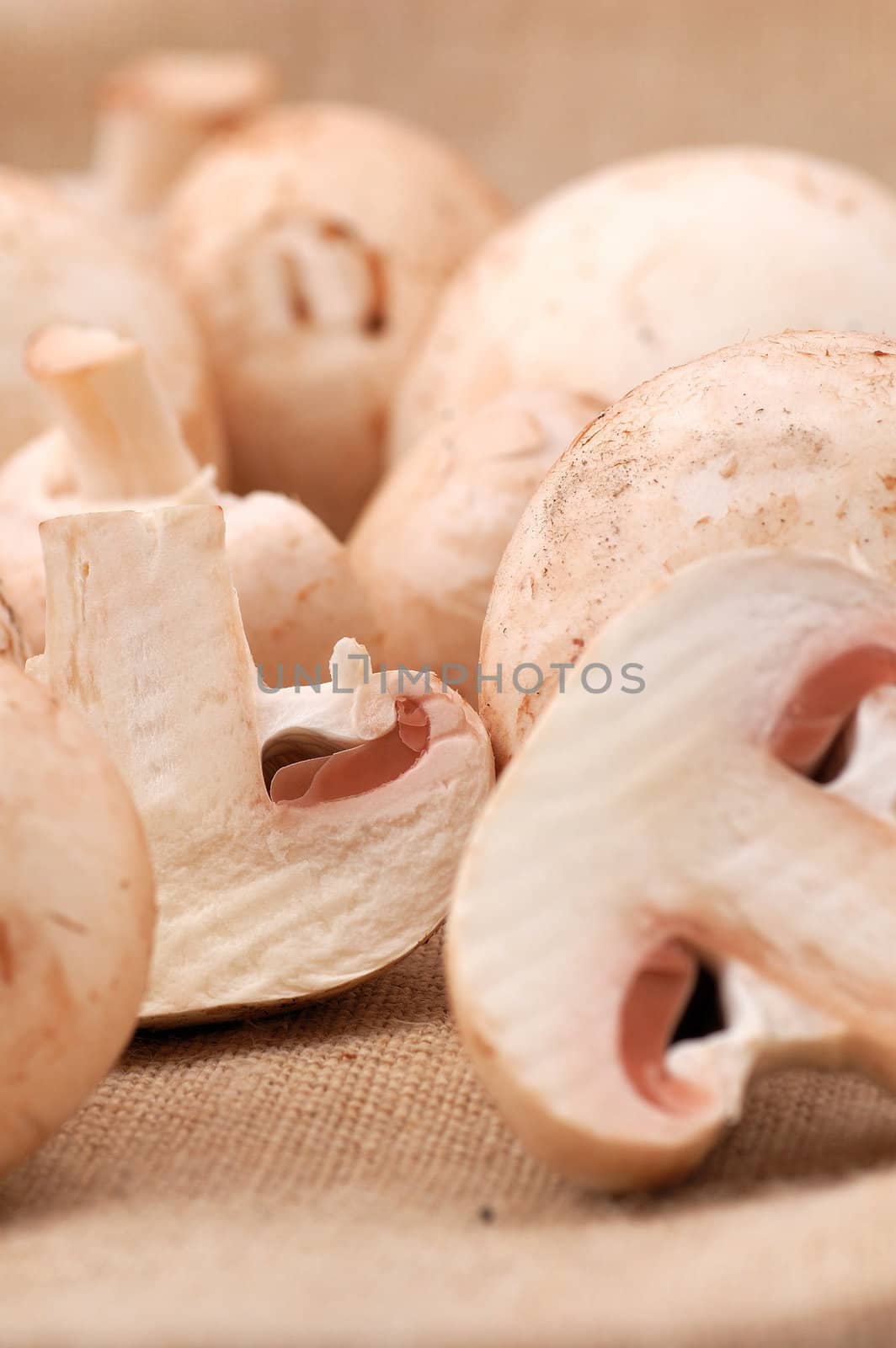 Many mushrooms on the table