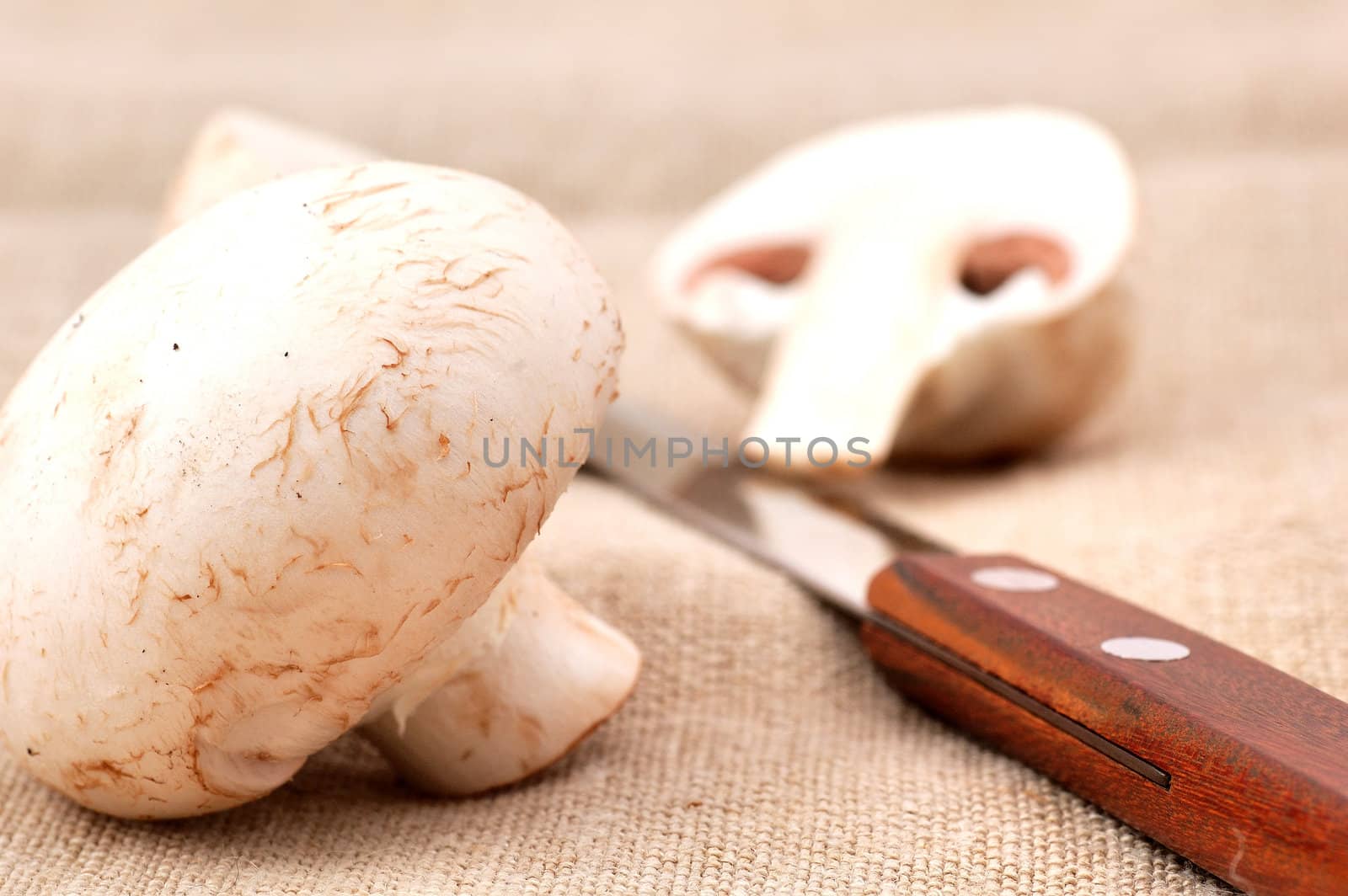 Mushrooms and knife on the table