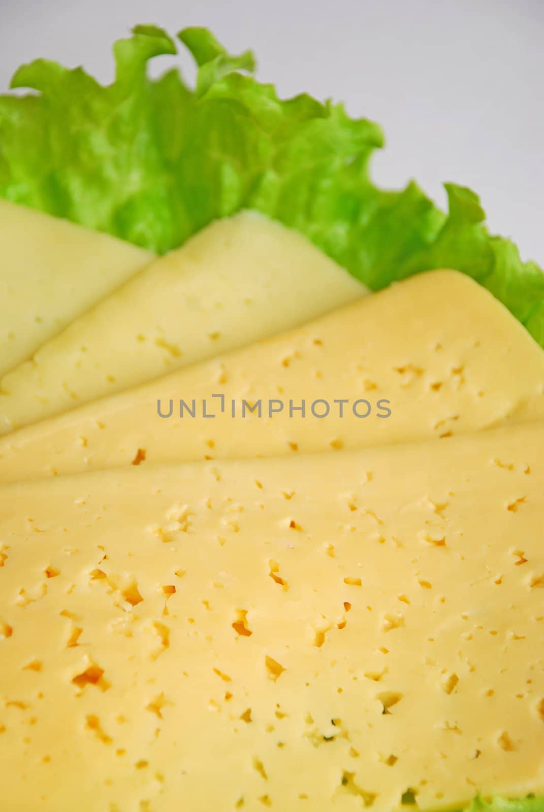 Close up of a peaces of cheese