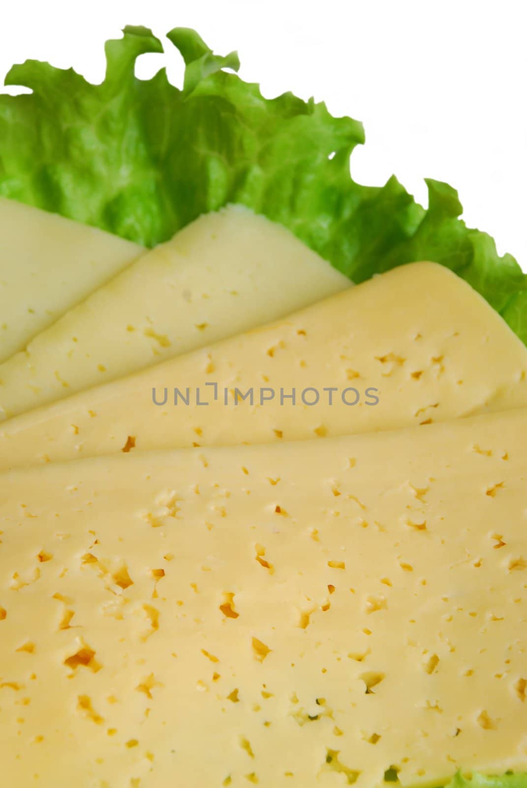 Close up of a peaces of cheese