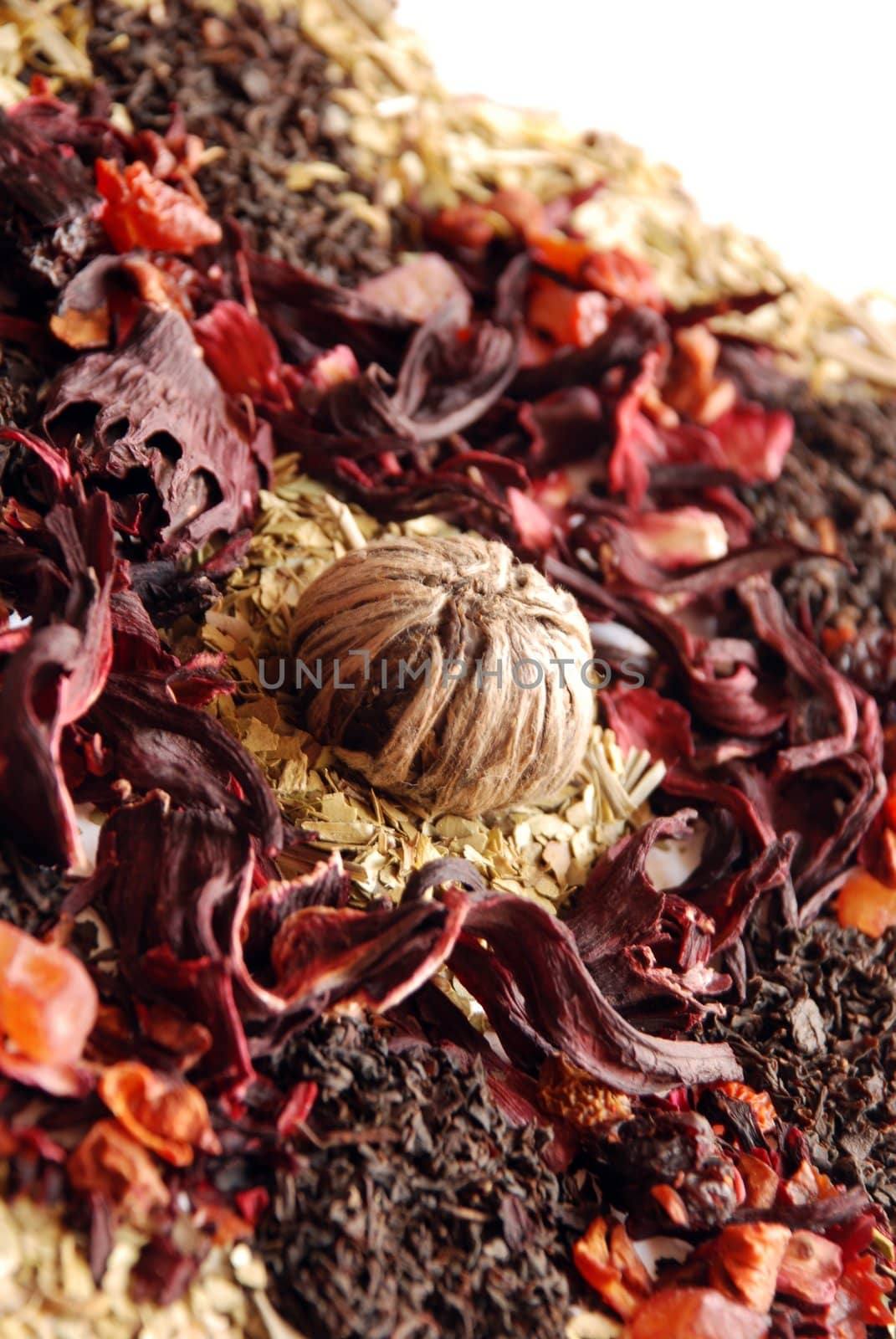 Scattered tea leaves on white background