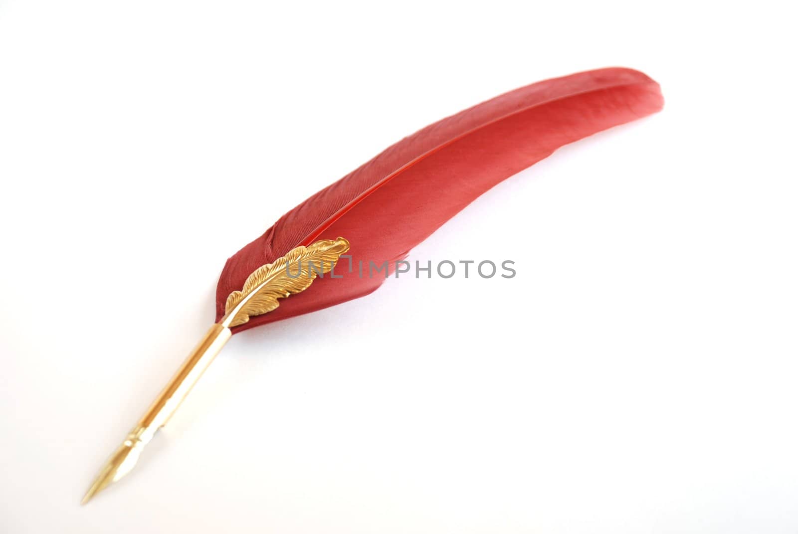 Feather pen on white background