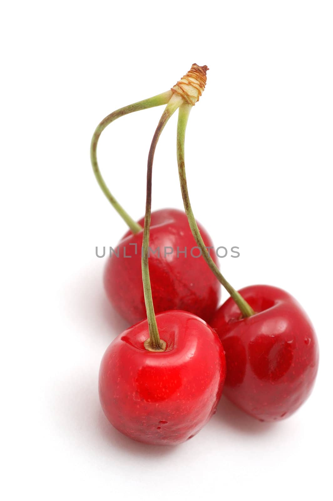 Cherry by pmaks