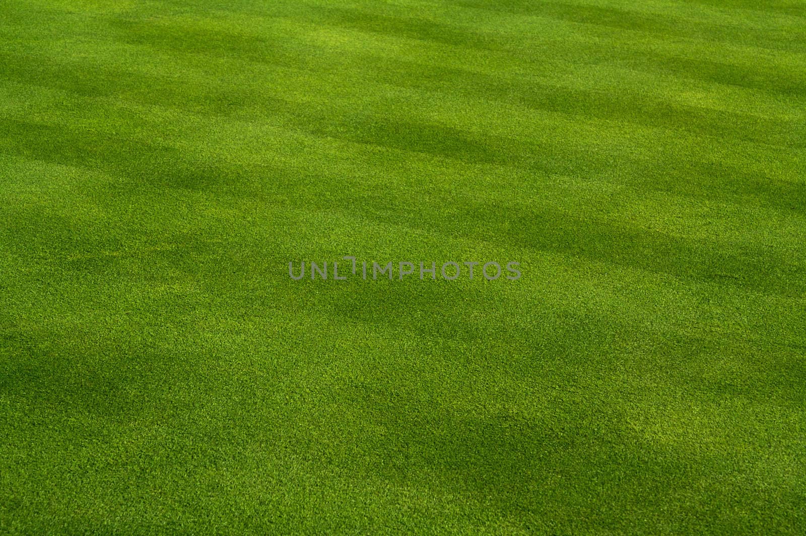 Fresh Cut Grass by Feverpitched
