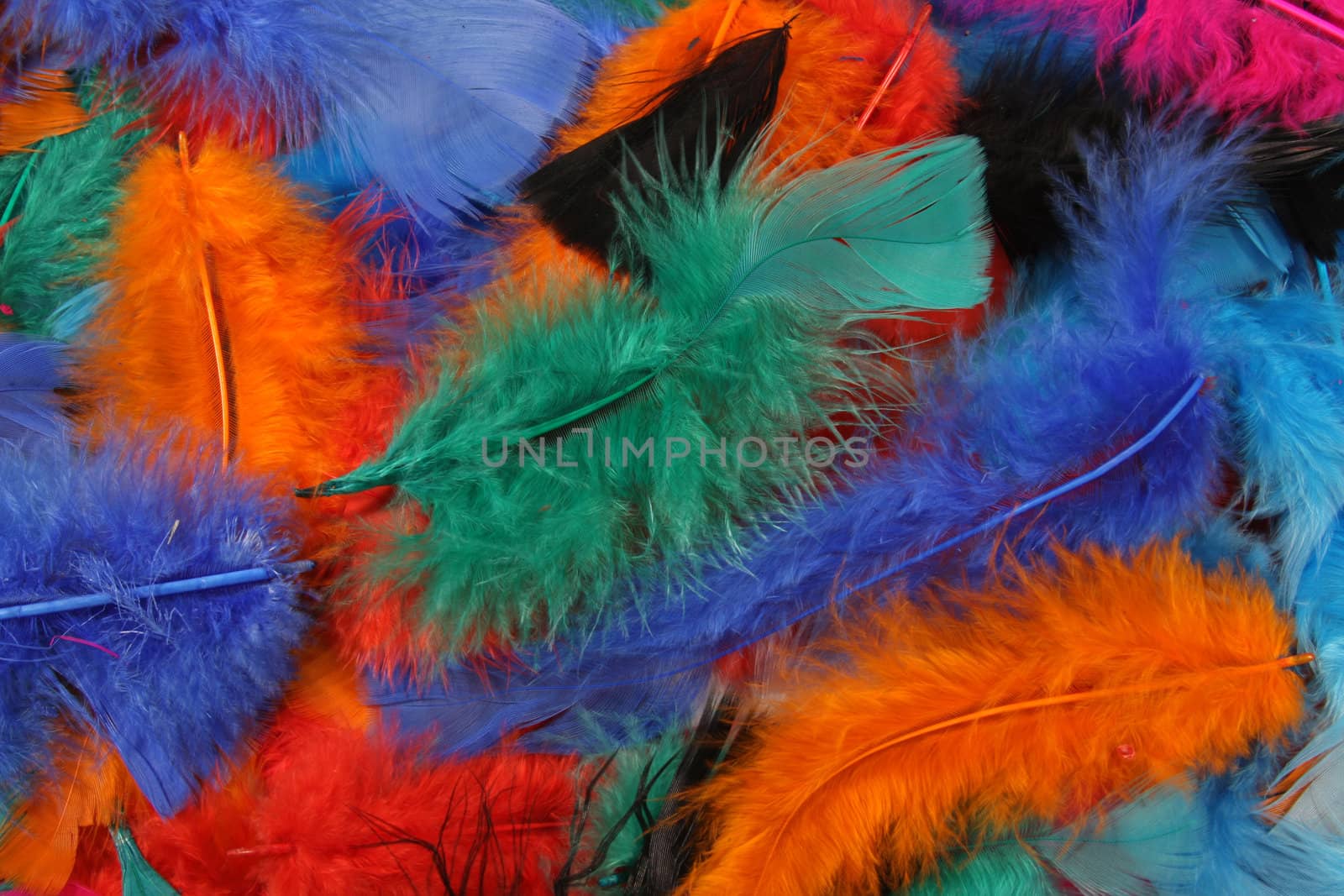 many brightly colored feathers make a background