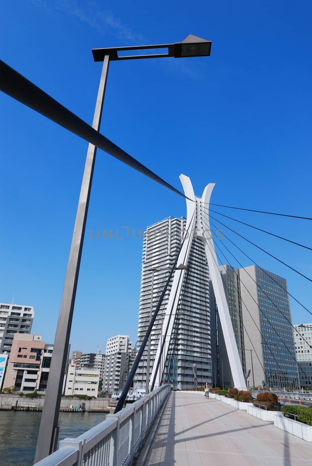 suspension bridge vertical by yuriz