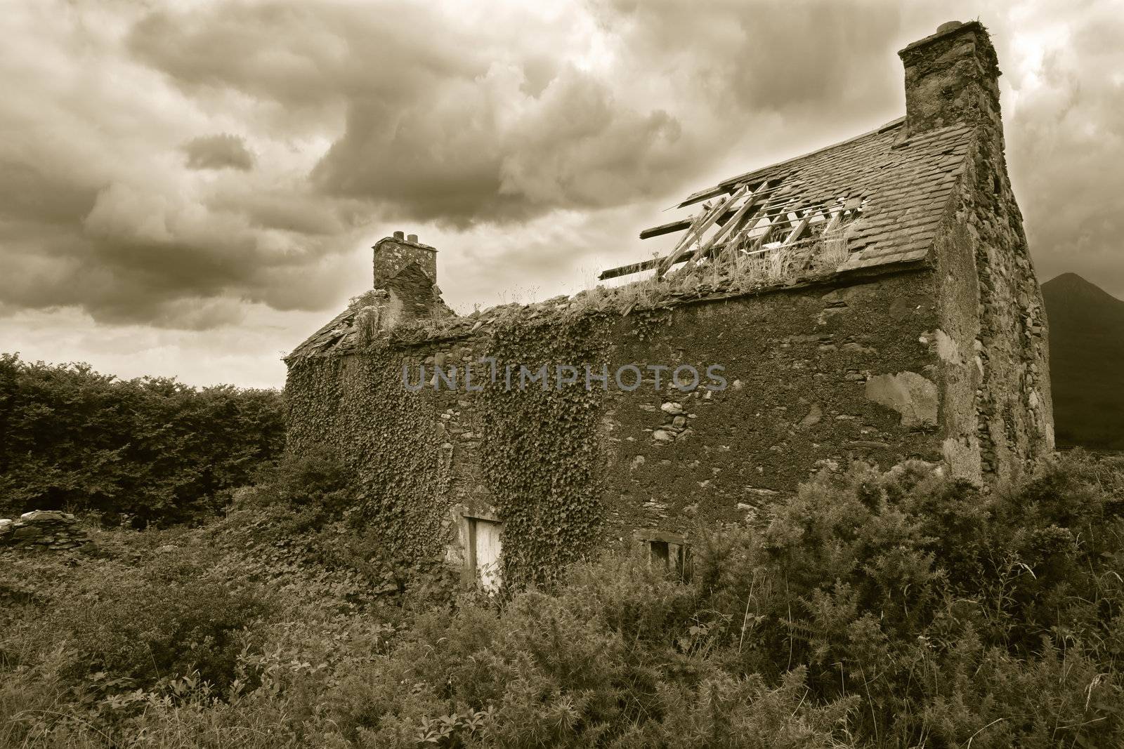 A derelict house somewhere in Ireland. Sepia-toned for older look.
