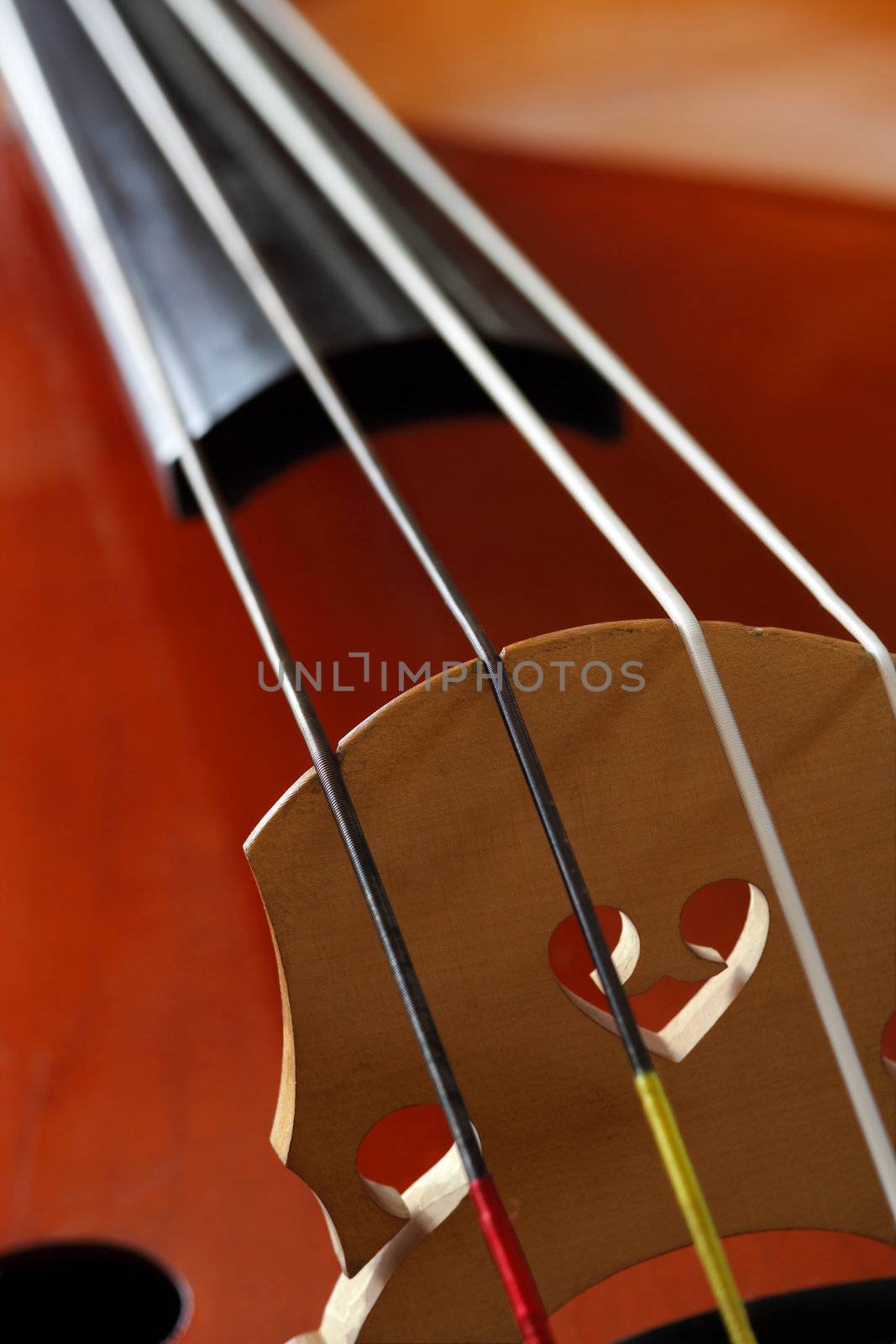 Closeup image of the bridge and strings of a double bass or standup bass.  
