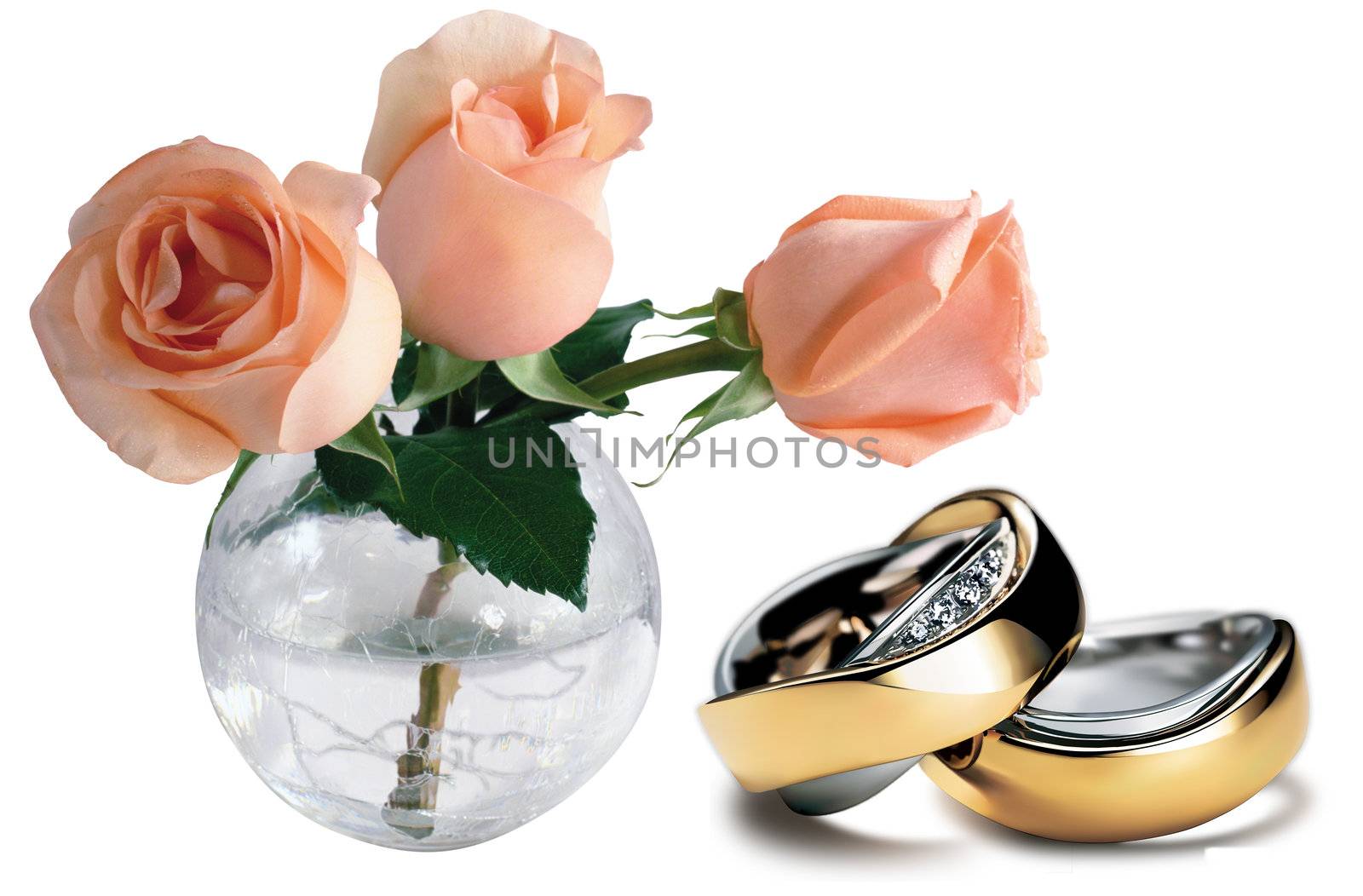 Nice beautiful situation from the roses and rings