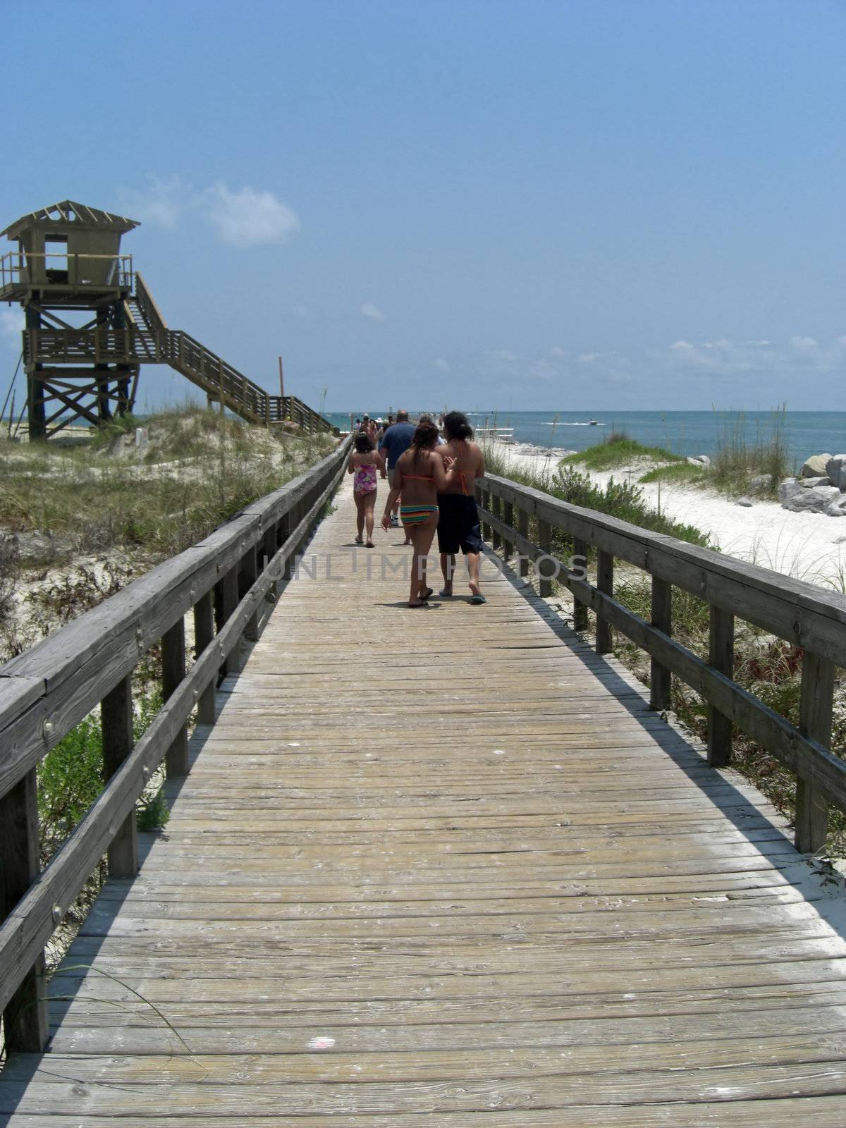 A group of people are walking to the beach  at the end of the trail
