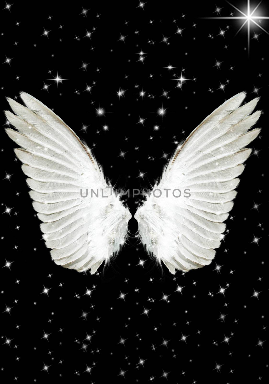 Nice big white angels wings in the night