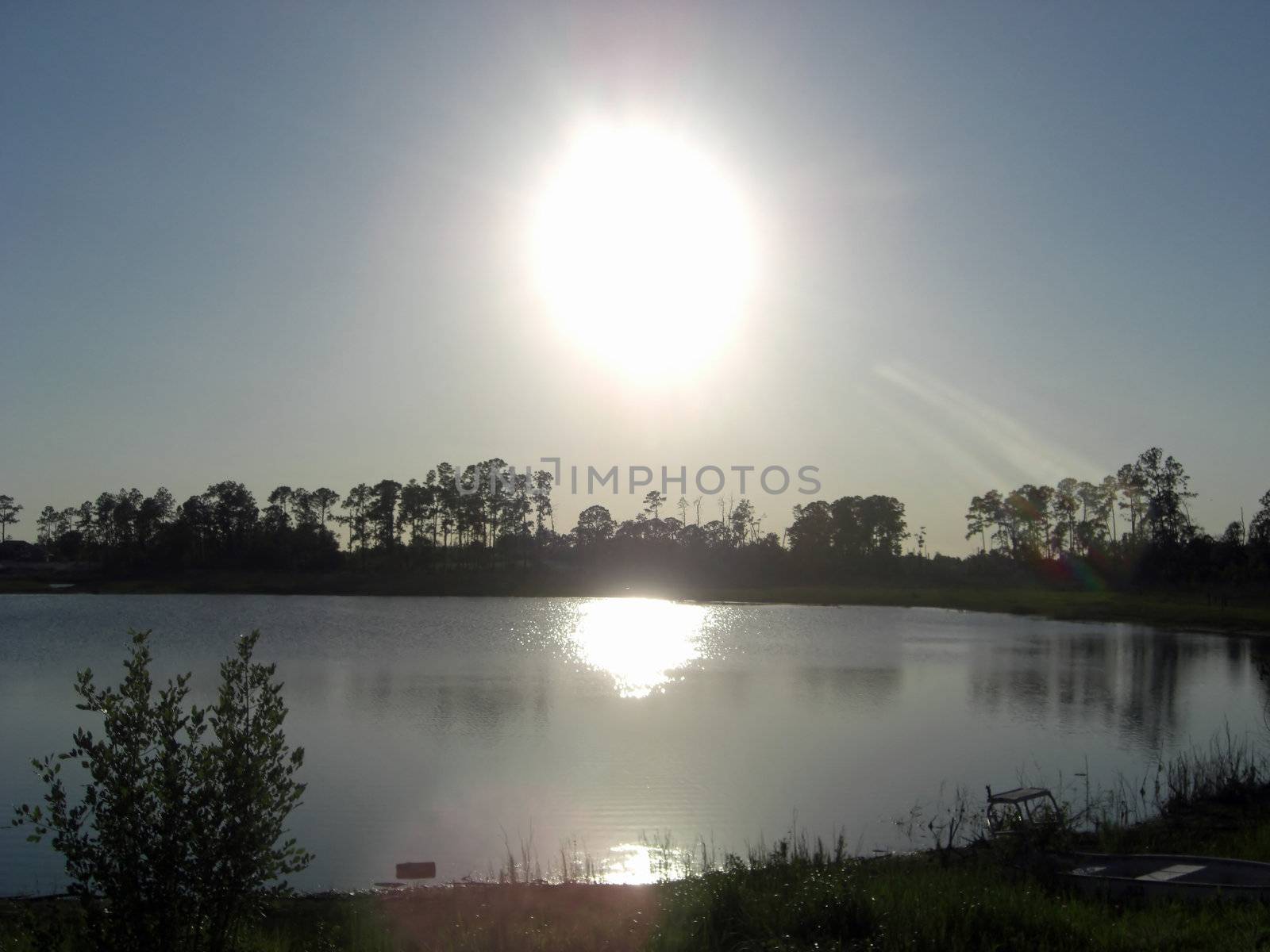 As the sun prepares to set, a reflection glitters in the water against a silhouette of the trees