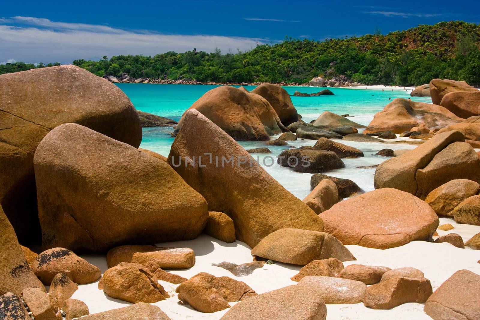 dream beach