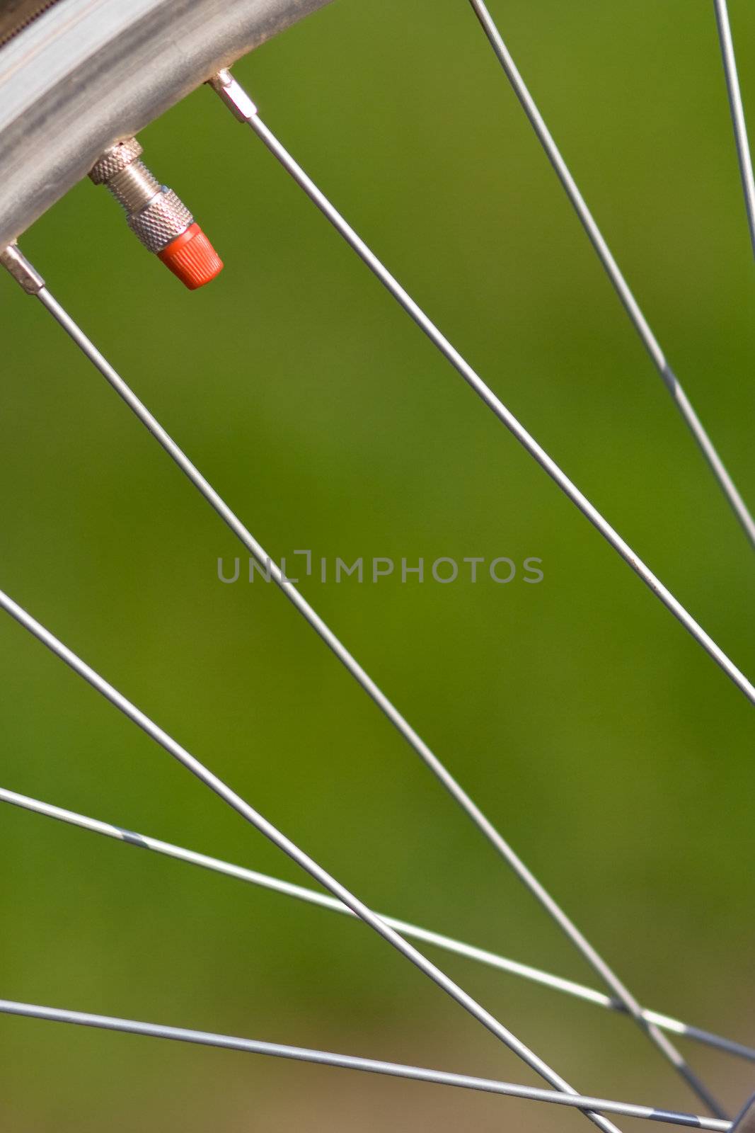 bike wheel