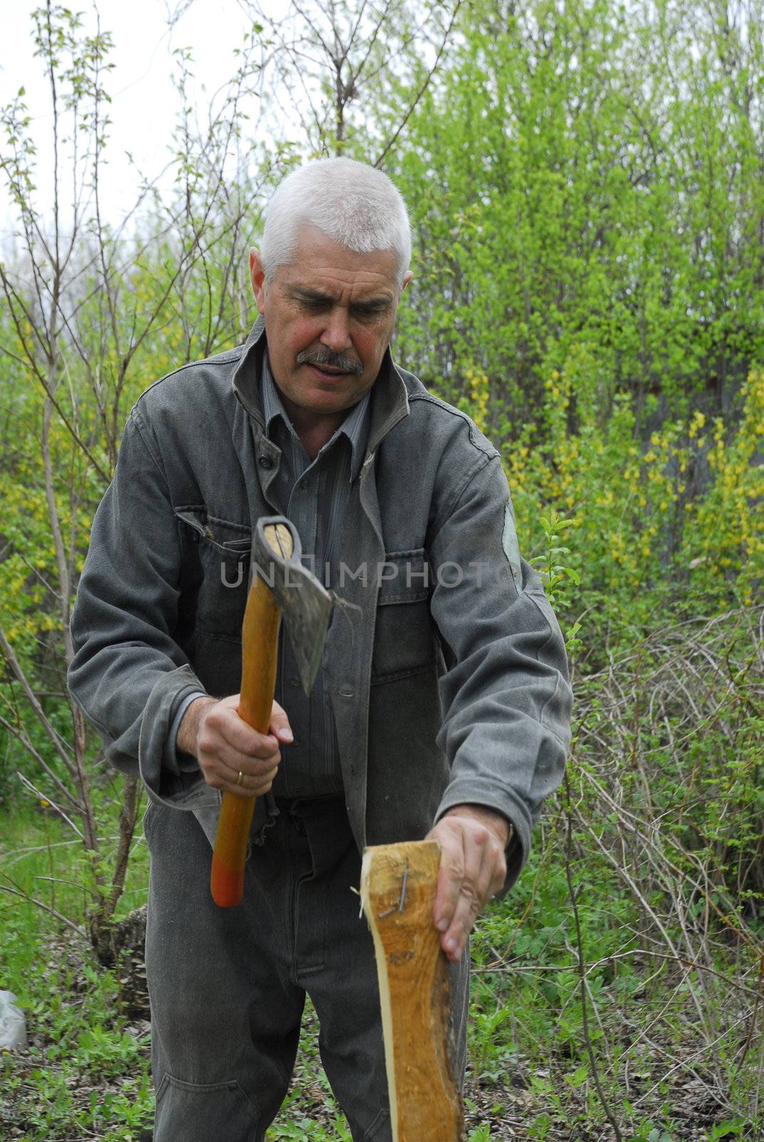 Man with axe on the nature 