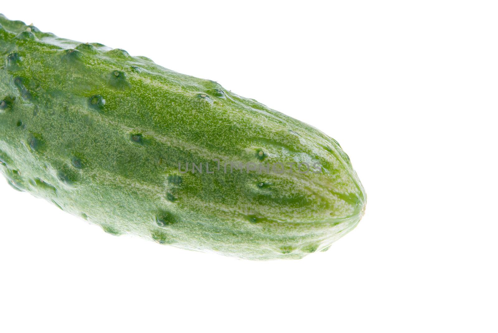 fresh cucumber  isolated on white background