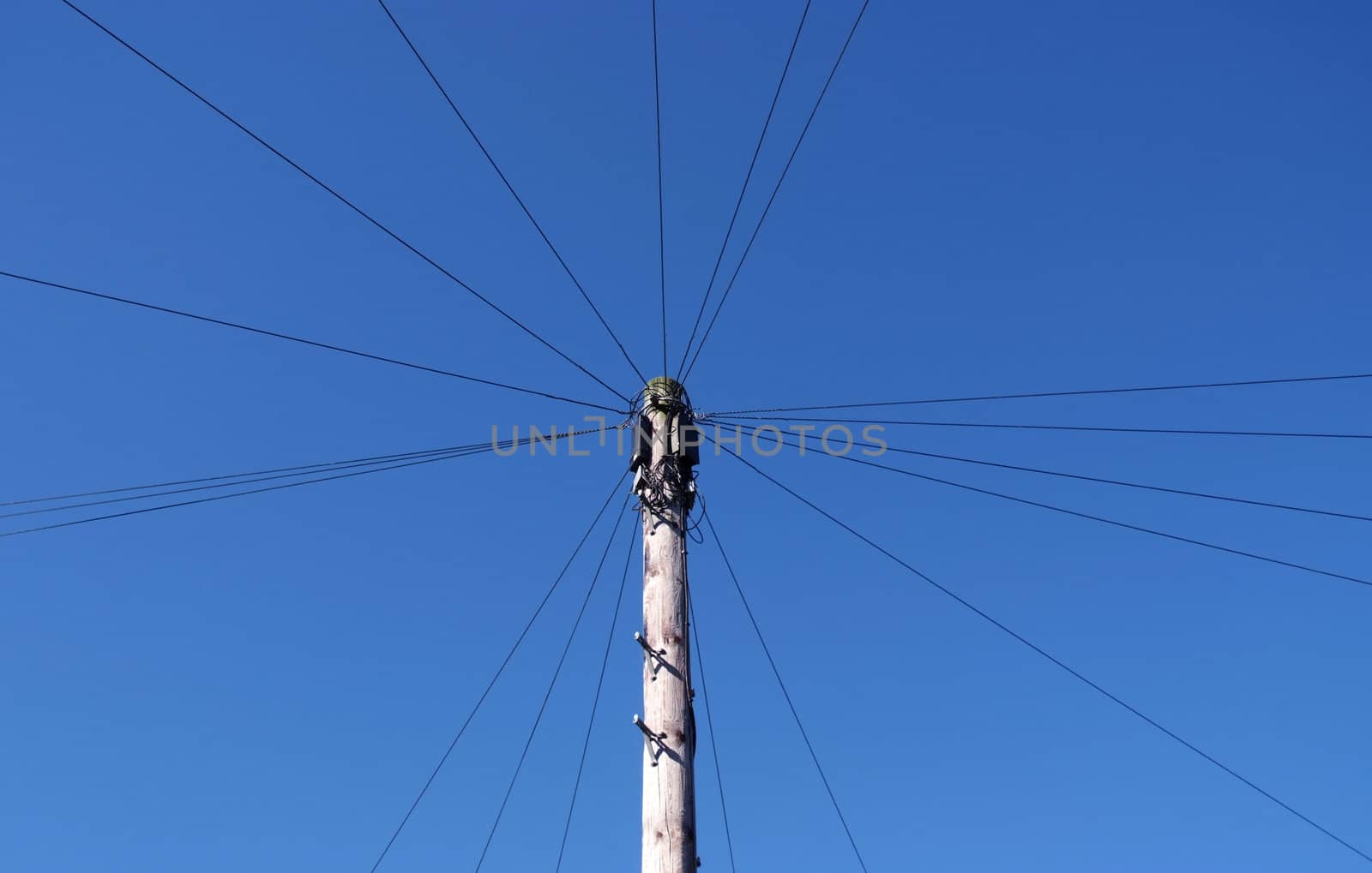 Telephone wires spread out in a circle from the pole