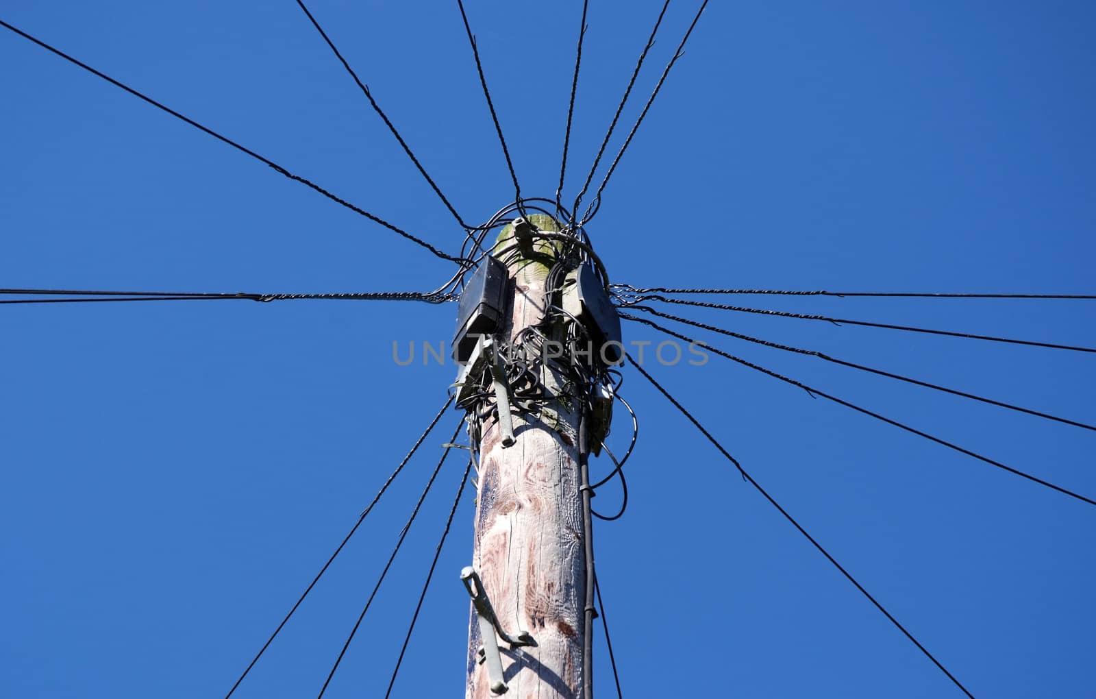 Telephone wires spread out in a circle from the pole