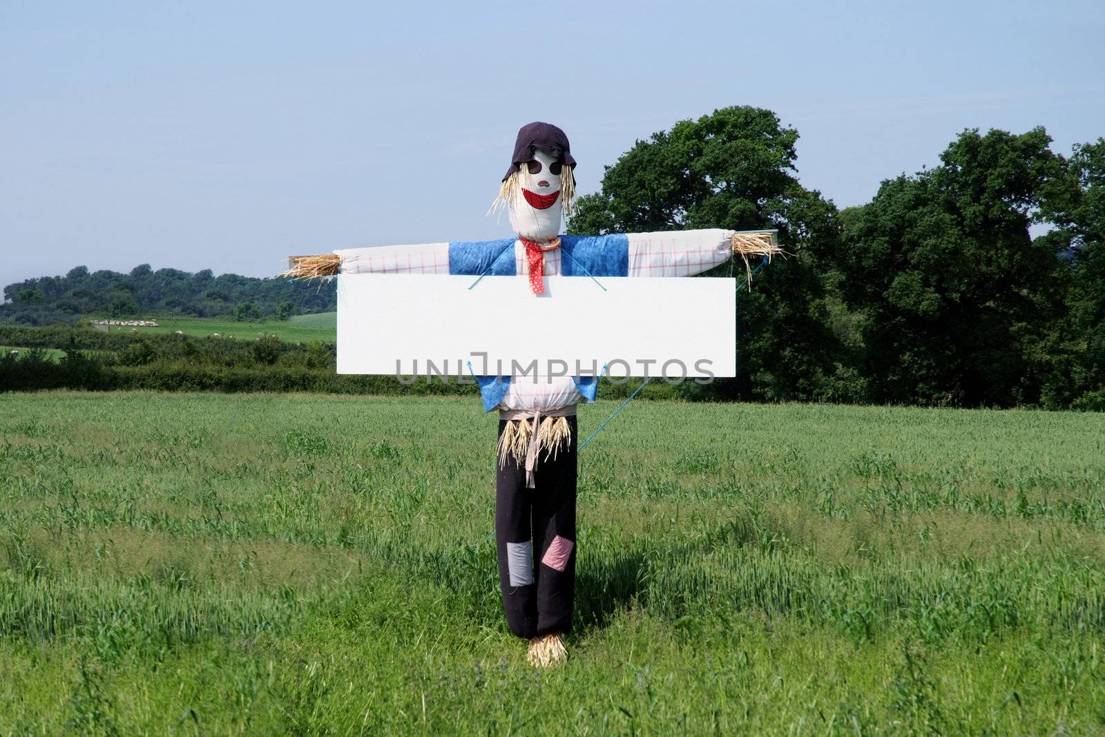 A scarecrow in a field with an attached white notice board which could be used for your message