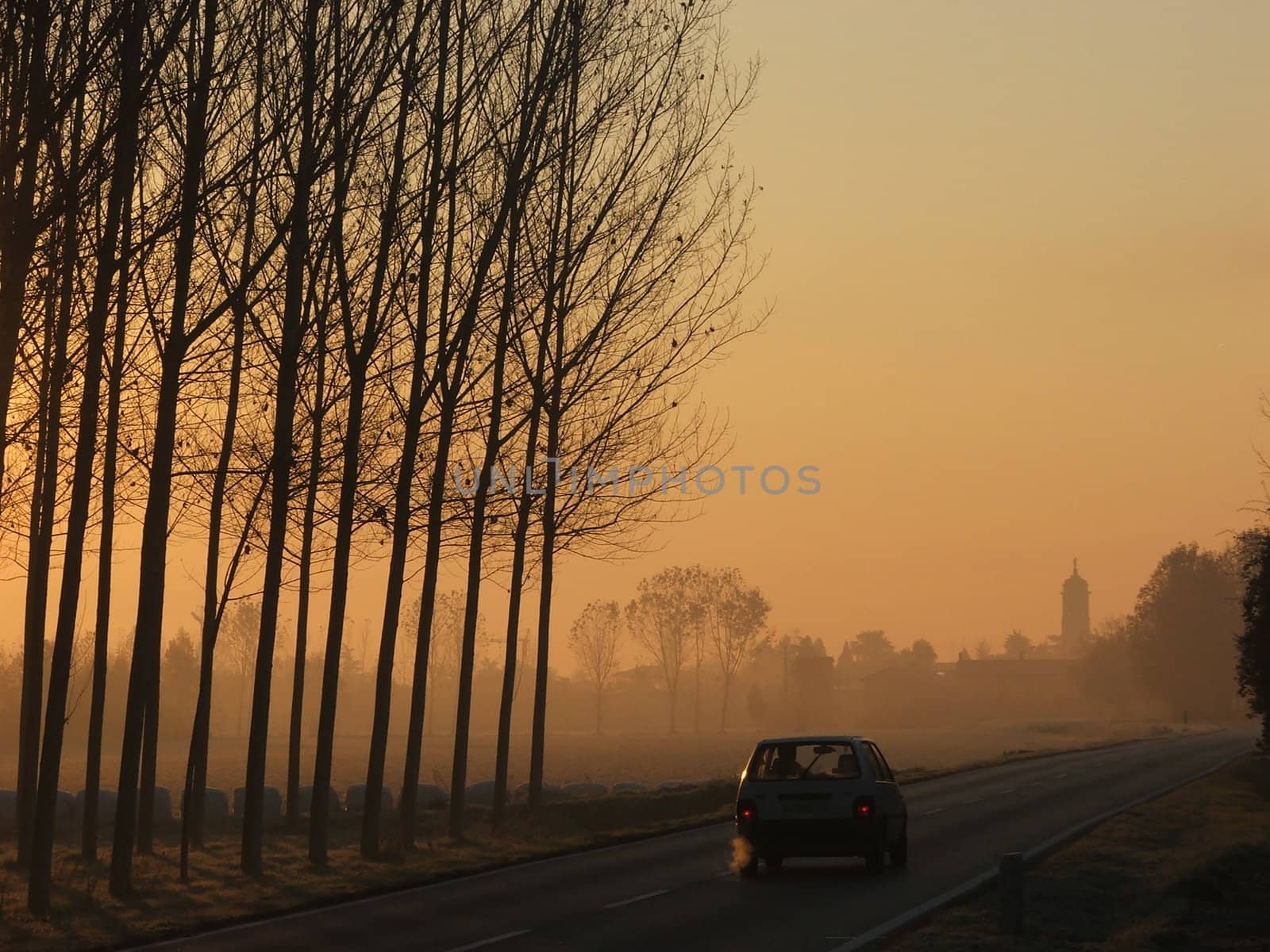 shots of early morning in fall