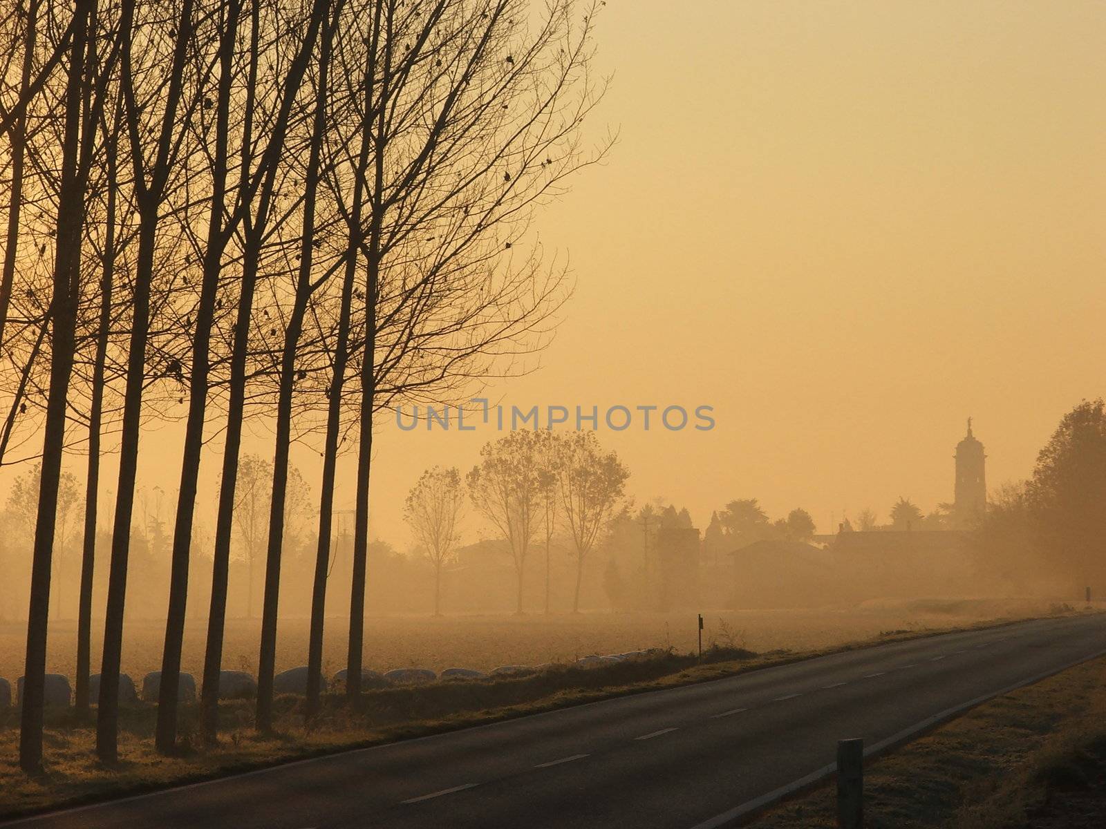 sunrise in the countryside