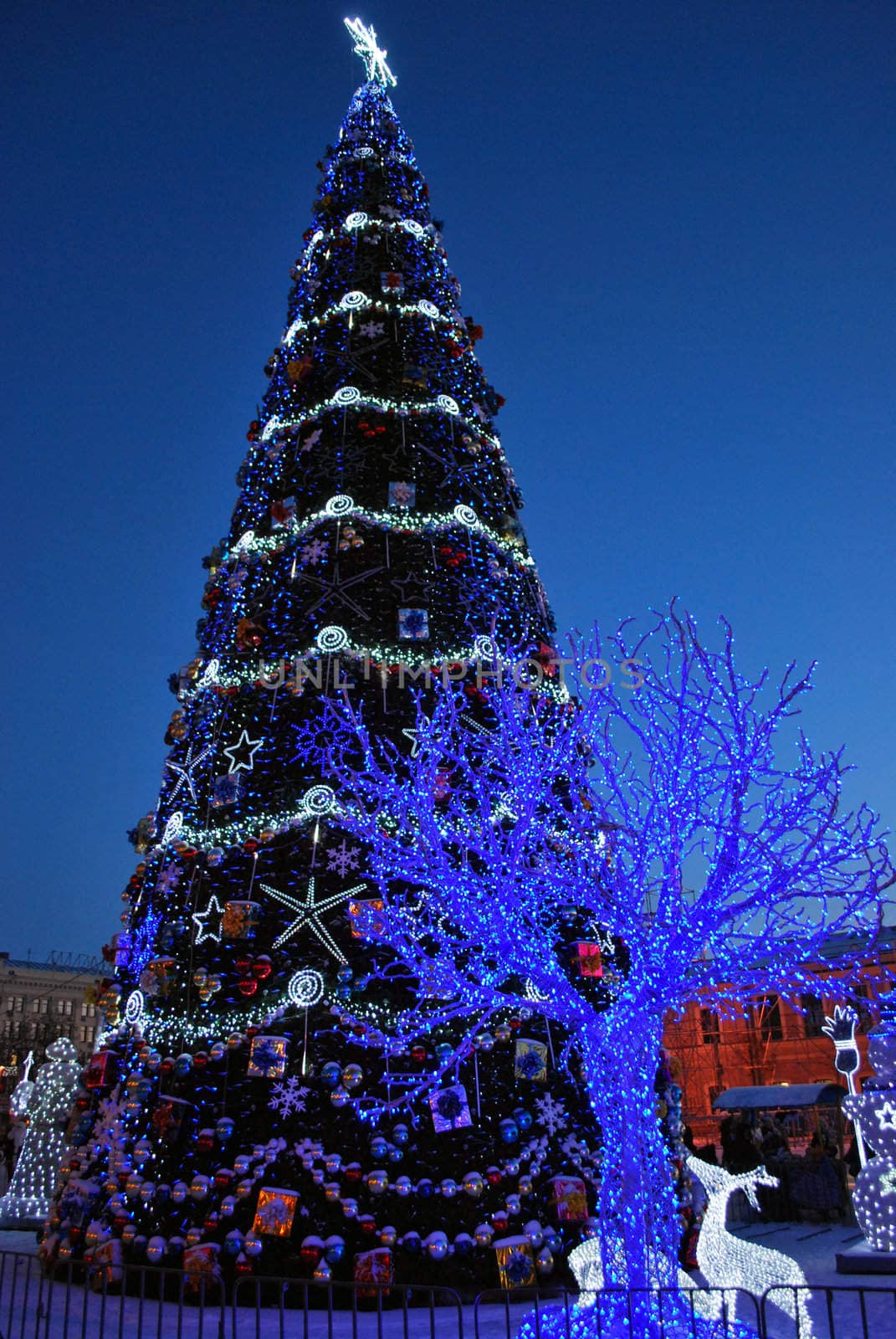 Main Christmas Tree in Kharkiv City, Ukraine