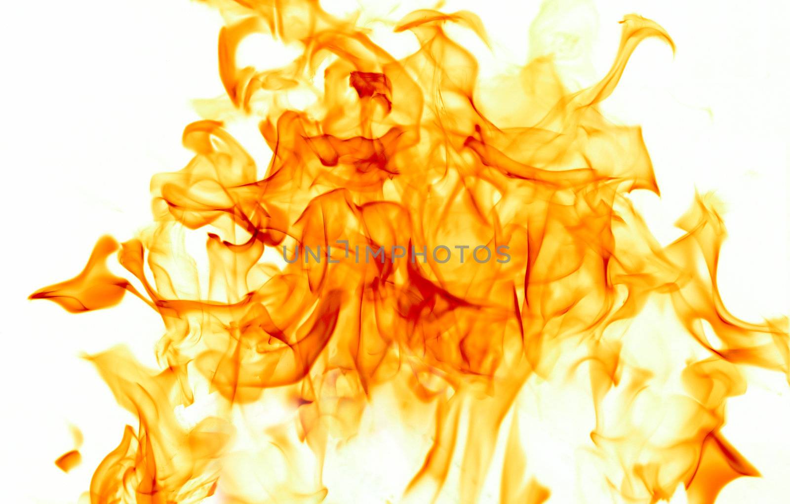 Dancing flames against a white background.
