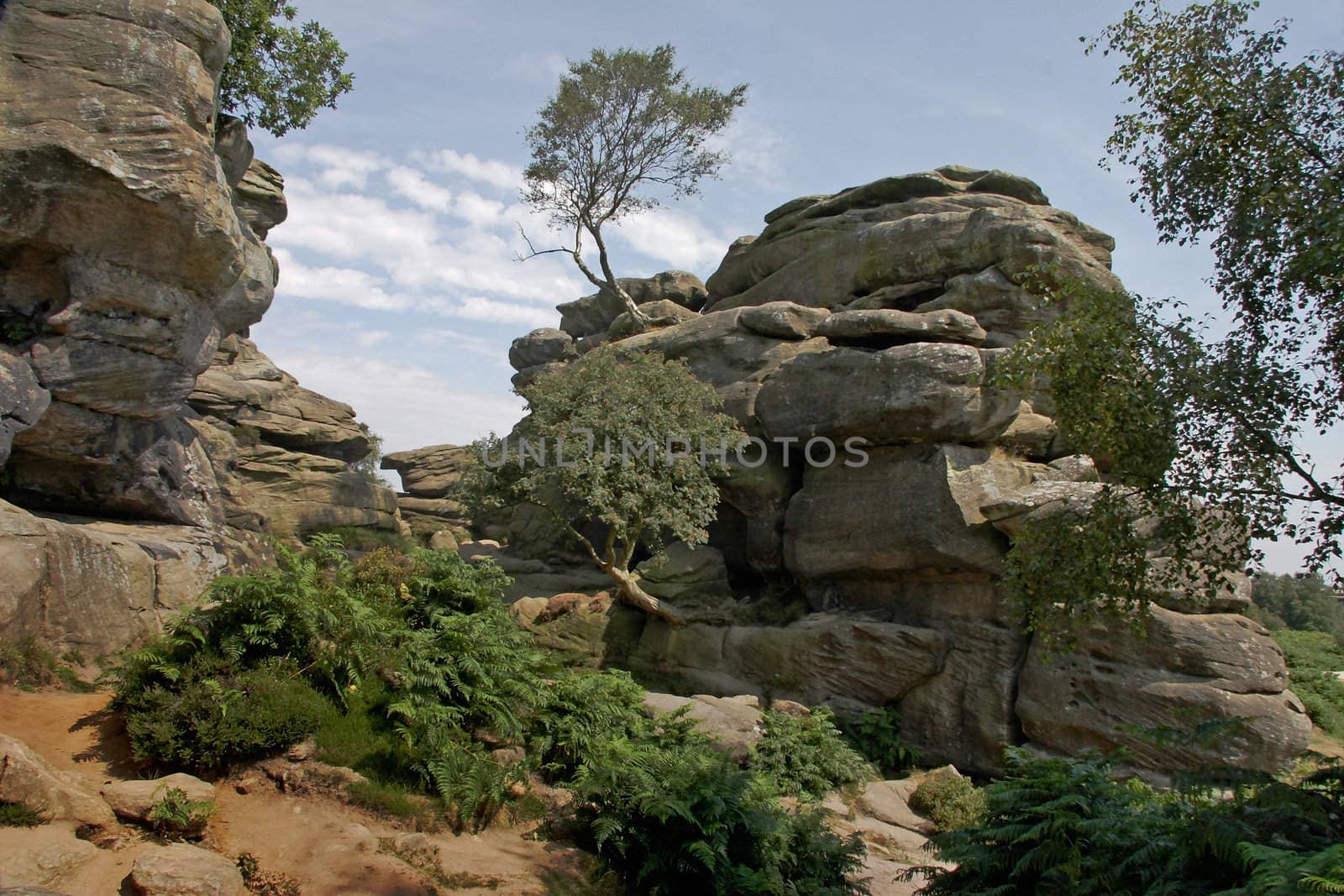 Brimham rocks, a sedimentary rock formation in Nidderdale, Yorkshire, England.