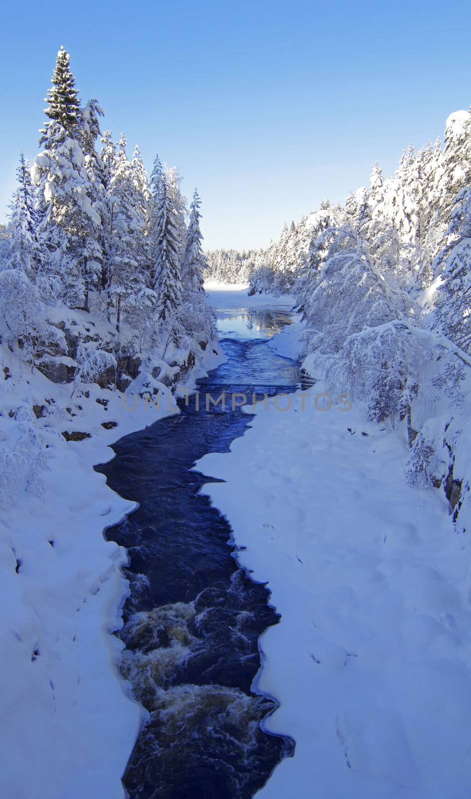 Winter wonderland by kjorgen